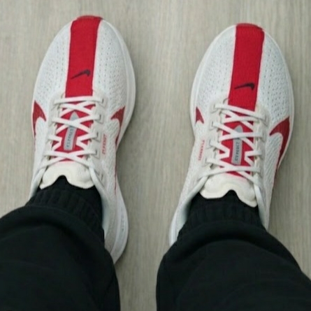 Nike Pegasus Plus Platinum Tint University Red 착용 스타일