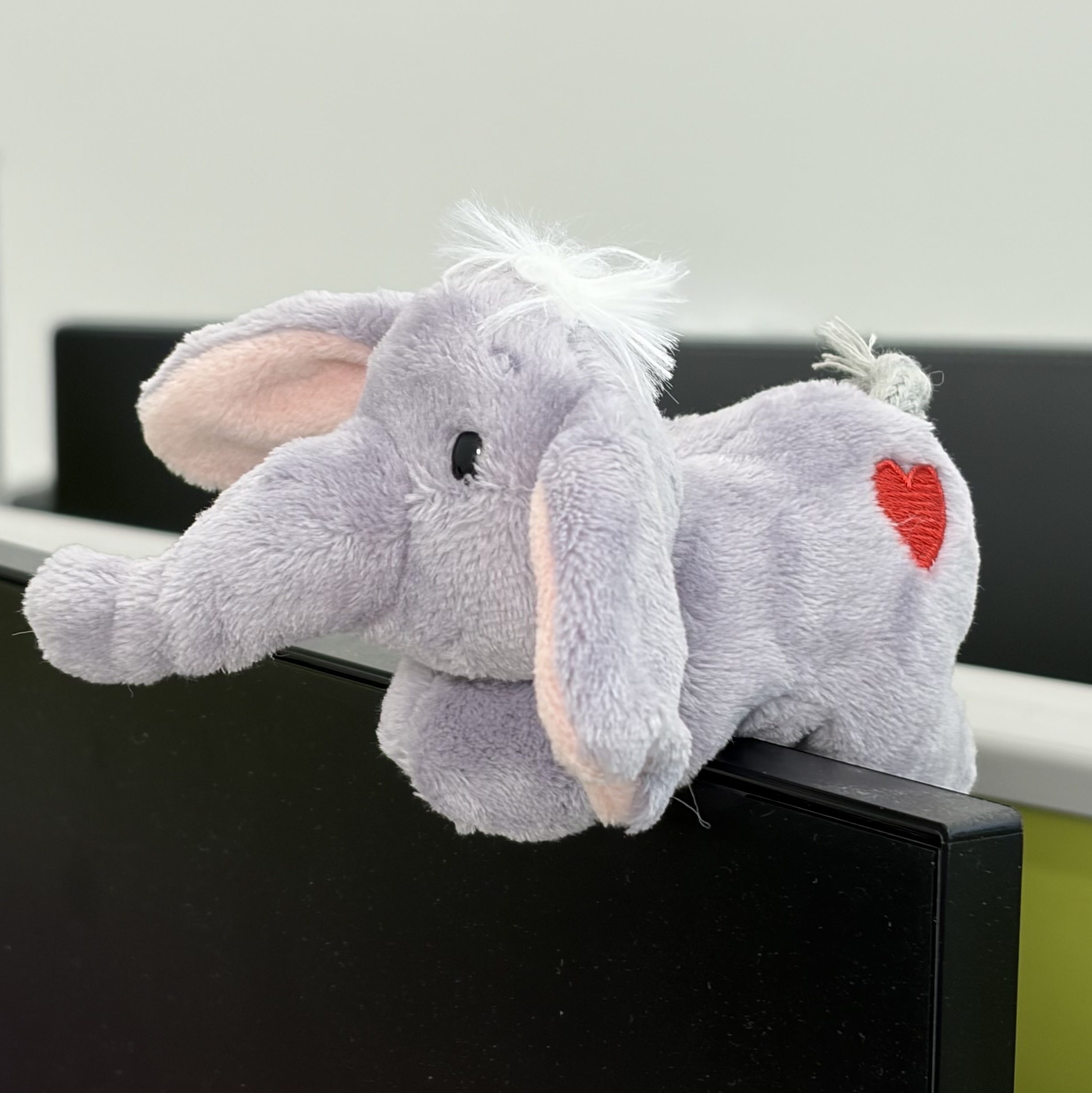 [KREAM 단독] NICI Elephant Luke Magnici 착용 스타일 - 2