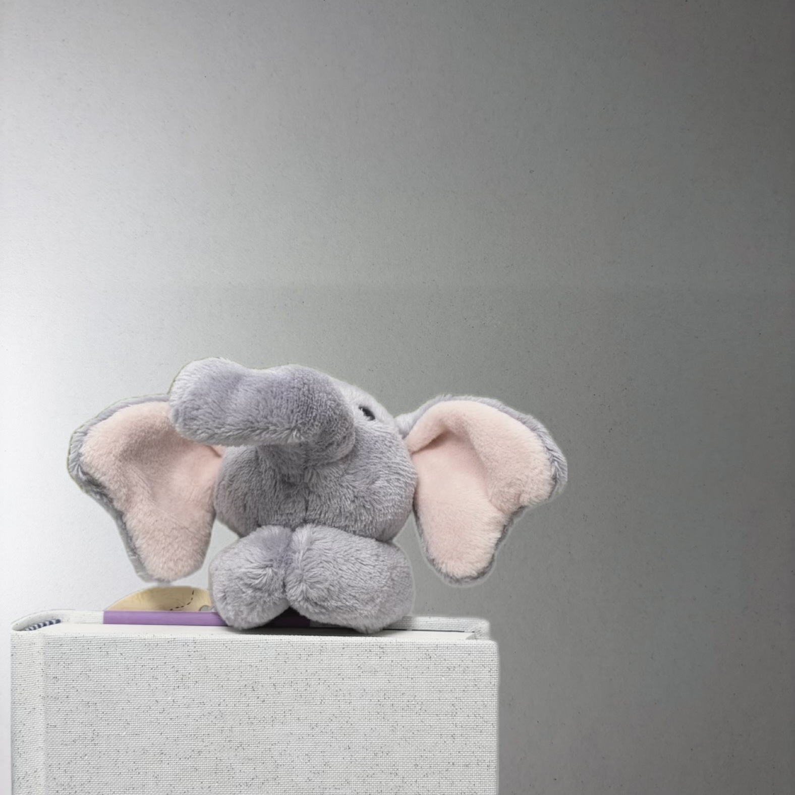 [KREAM 단독] NICI Elephant Luke Magnici 착용 스타일 - 1