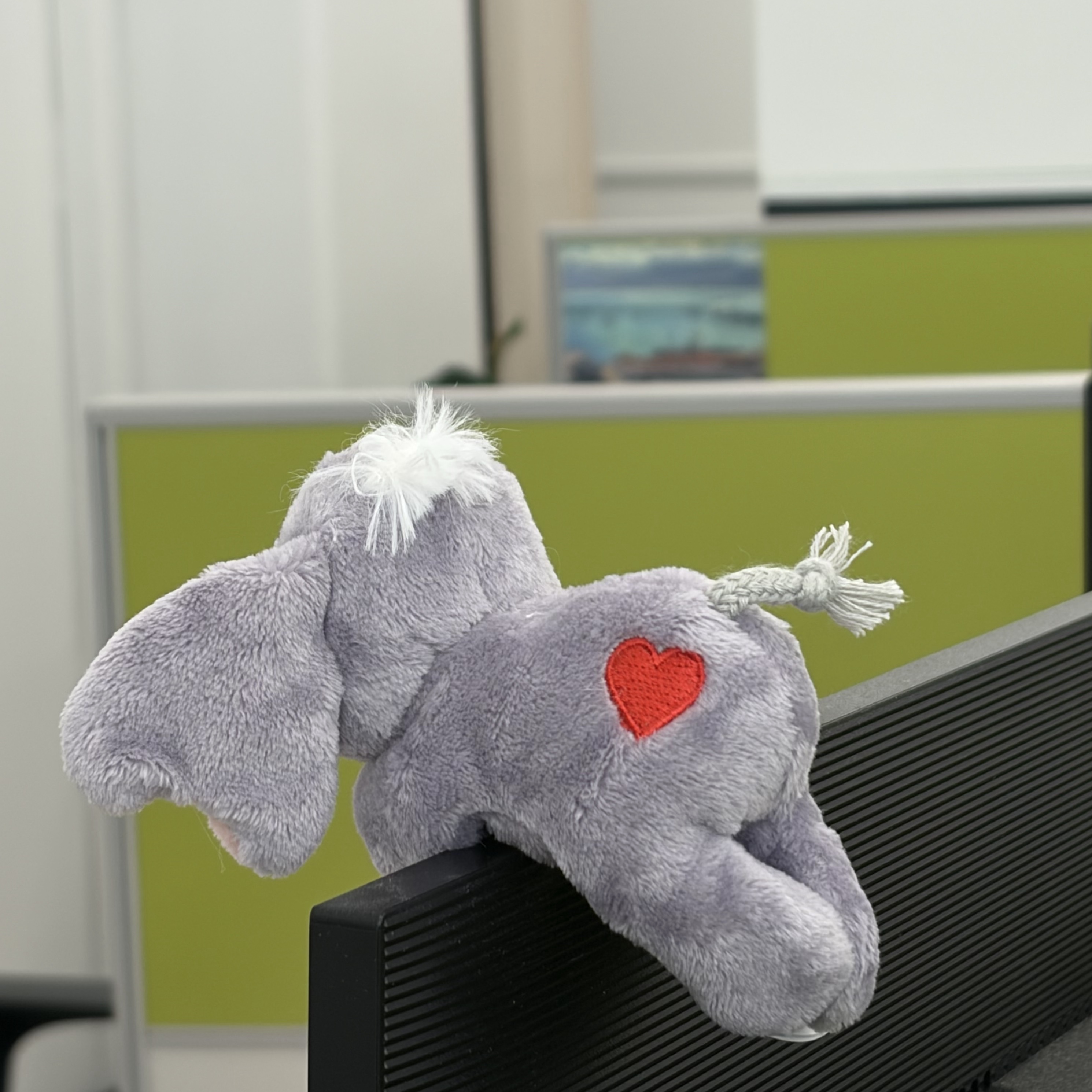 [KREAM 단독] NICI Elephant Luke Magnici 착용 스타일 - 3