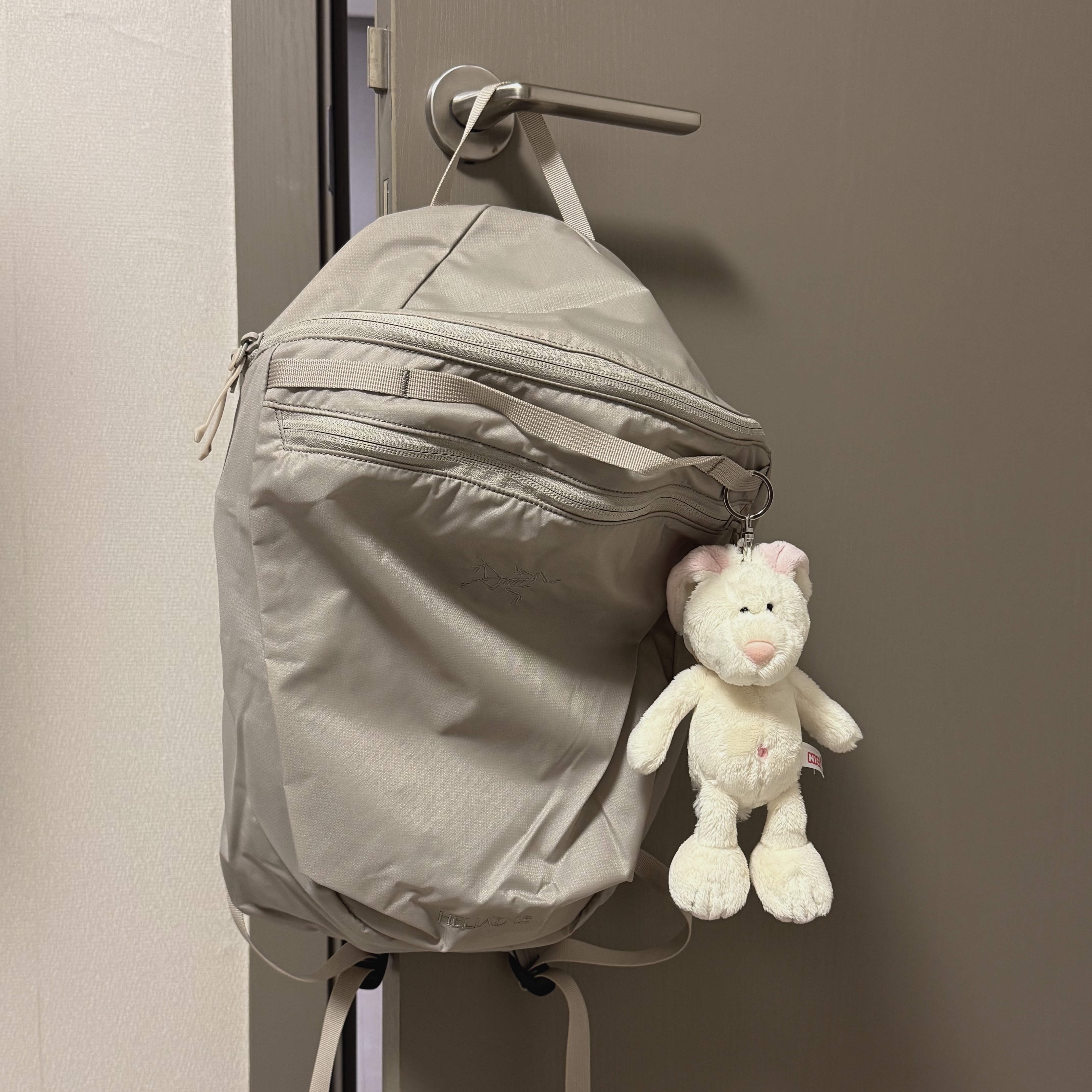 Arc'teryx Heliad 15 Backpack Rune, [KREAM 단독] NICI White Rabbit Coin Pouch 착용 스타일