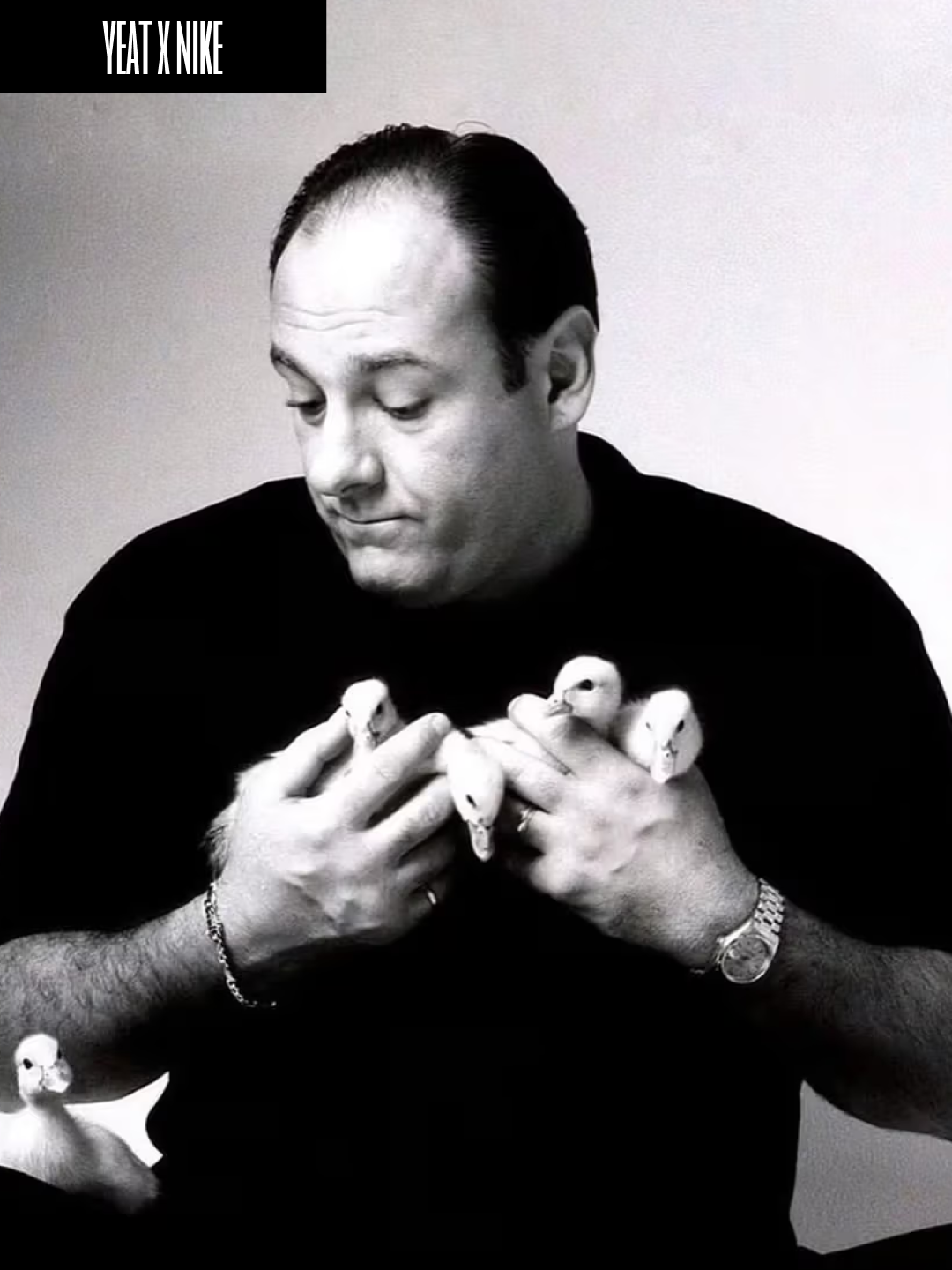 DShoePatch님의 스타일 - 4