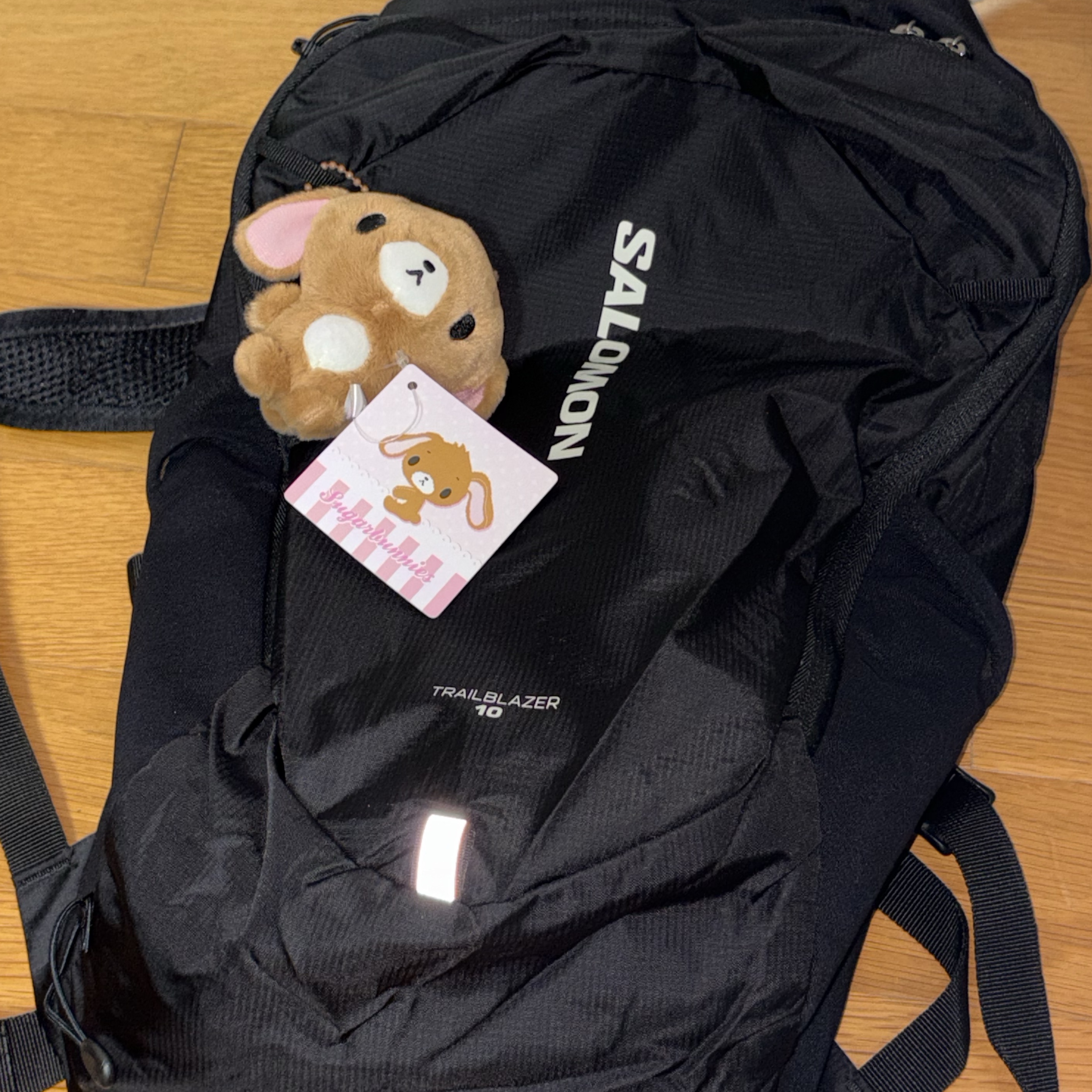 Salomon Trailblazer 10 Black 착용 스타일