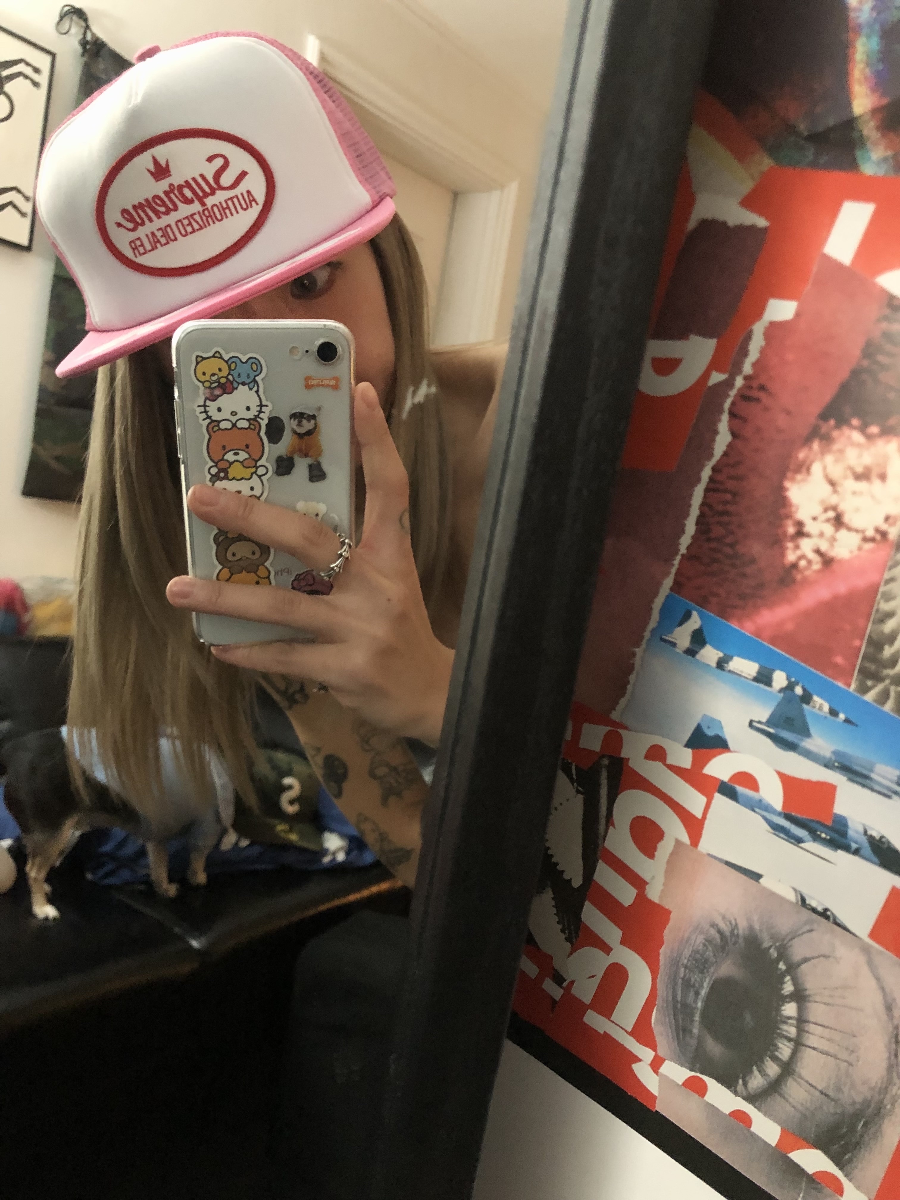 Supreme x Playboy Mesh Back 5-Panel Pink - 26SS 착용 스타일