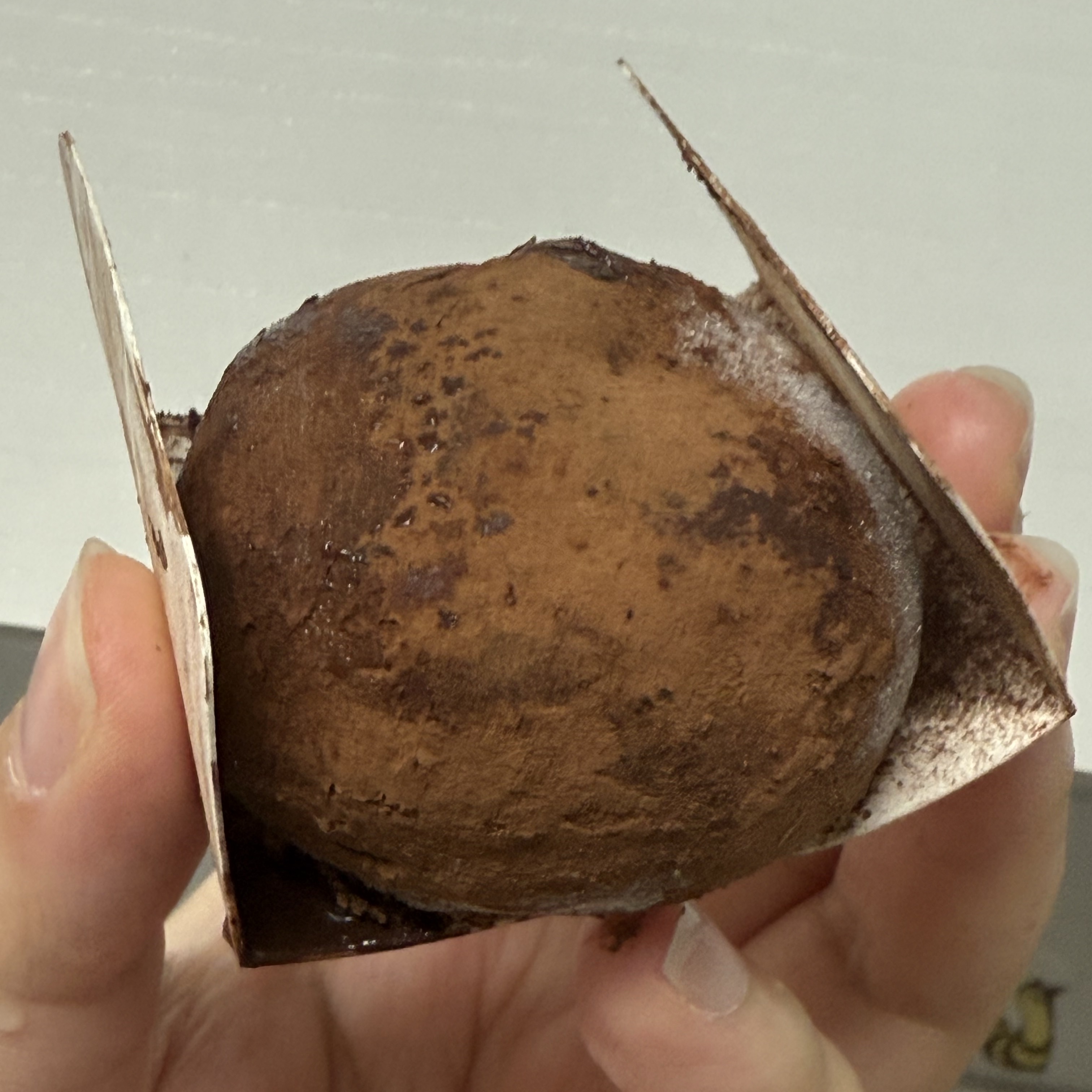 THE BAREUN TTEOK Double Chocolate Fudge Cream Tteok (60g *6EA) 1Box 착용 스타일 - 2