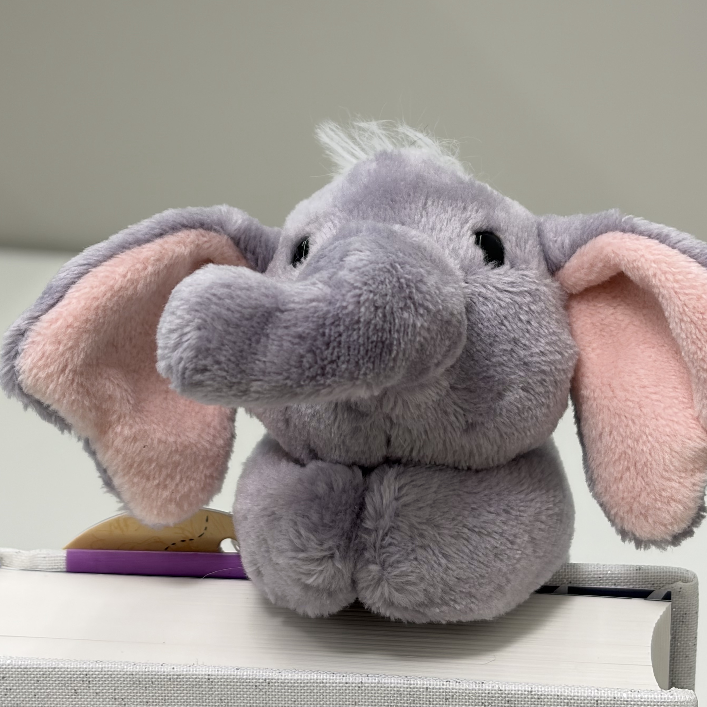 [KREAM 단독] NICI Elephant Luke Magnici 착용 스타일 - 5