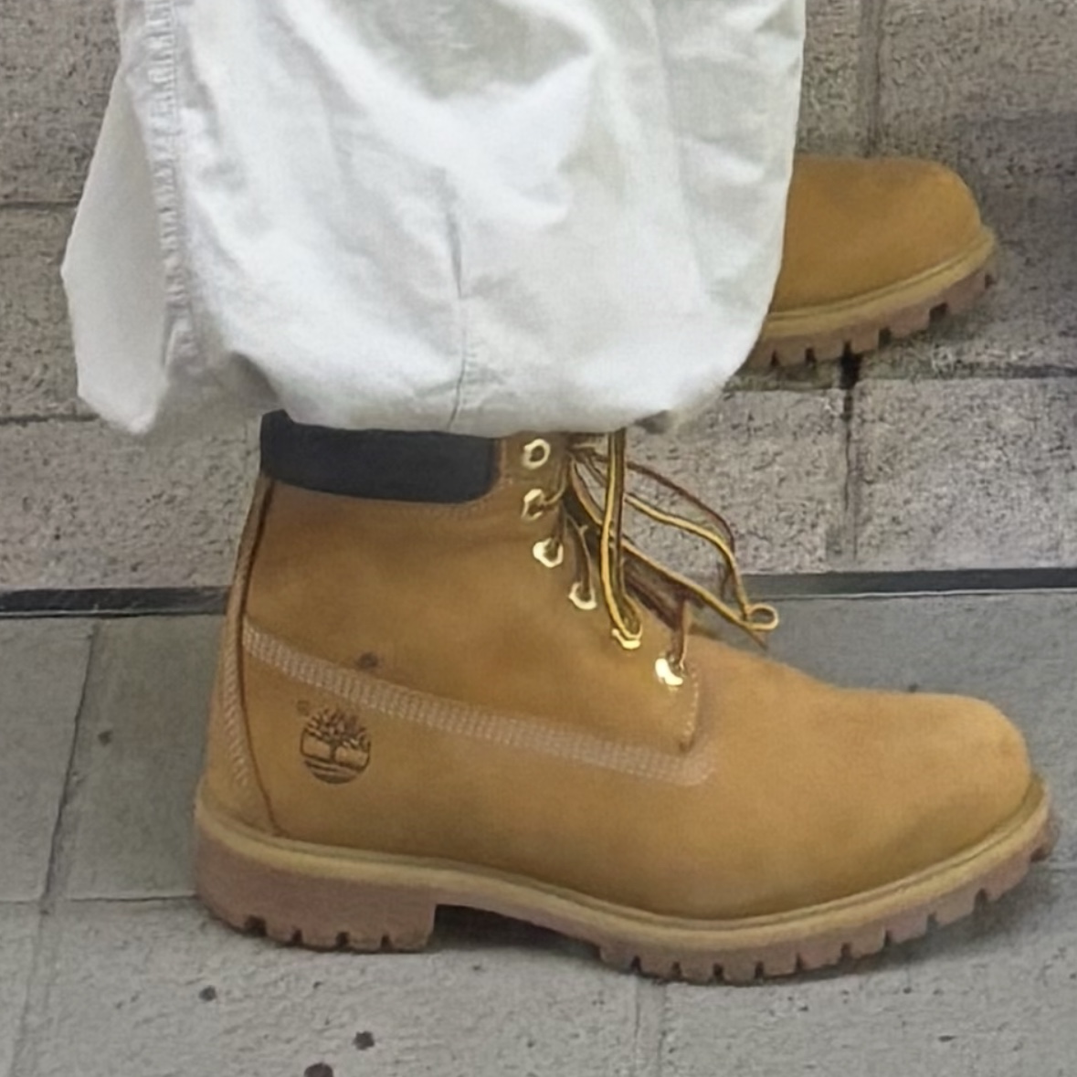 Timberland Premium 6 inch Waterproof Boot Wheat Nubuck - Wide 착용 스타일