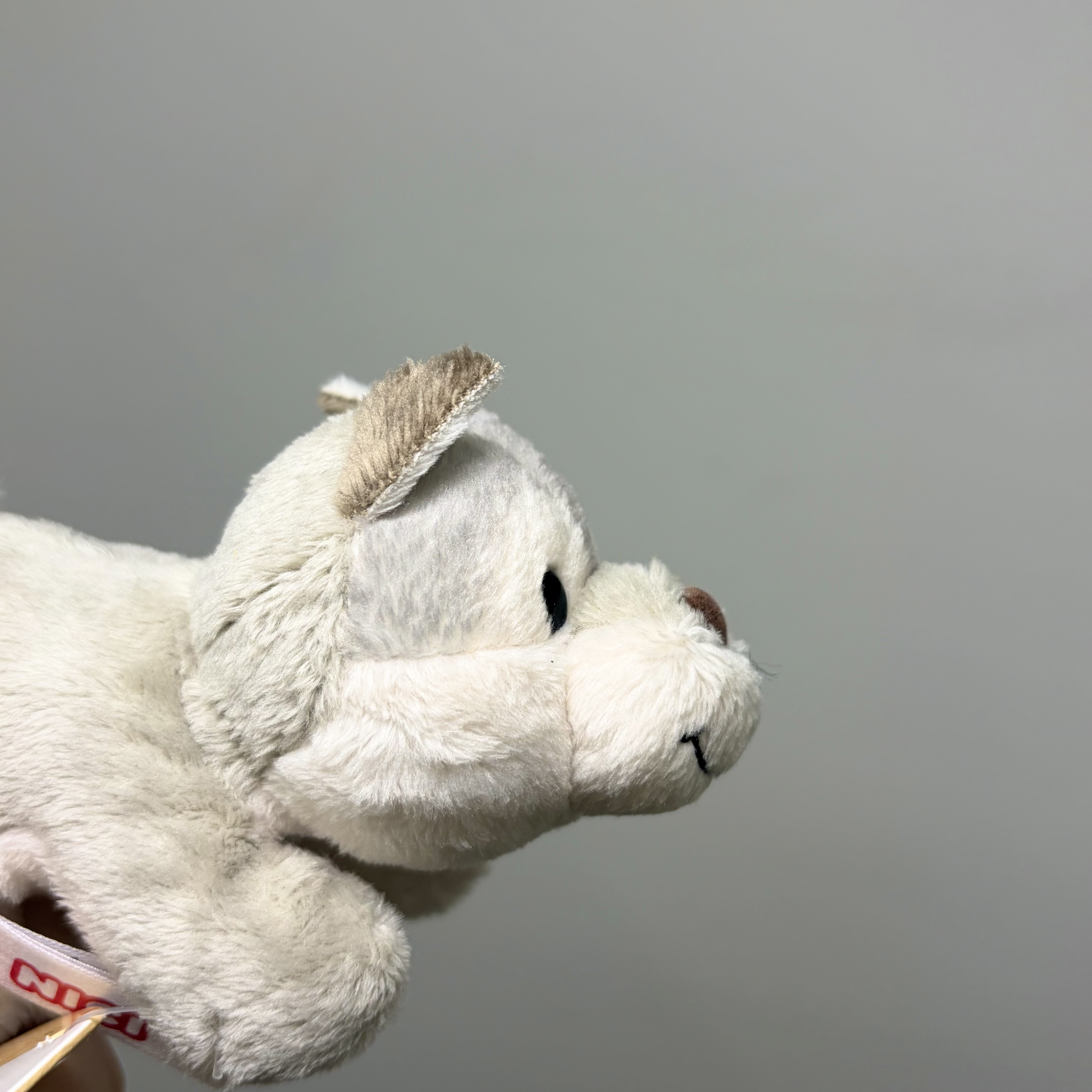 [KREAM 단독] NICI Wolf Winnie Magnici 착용 스타일 - 2