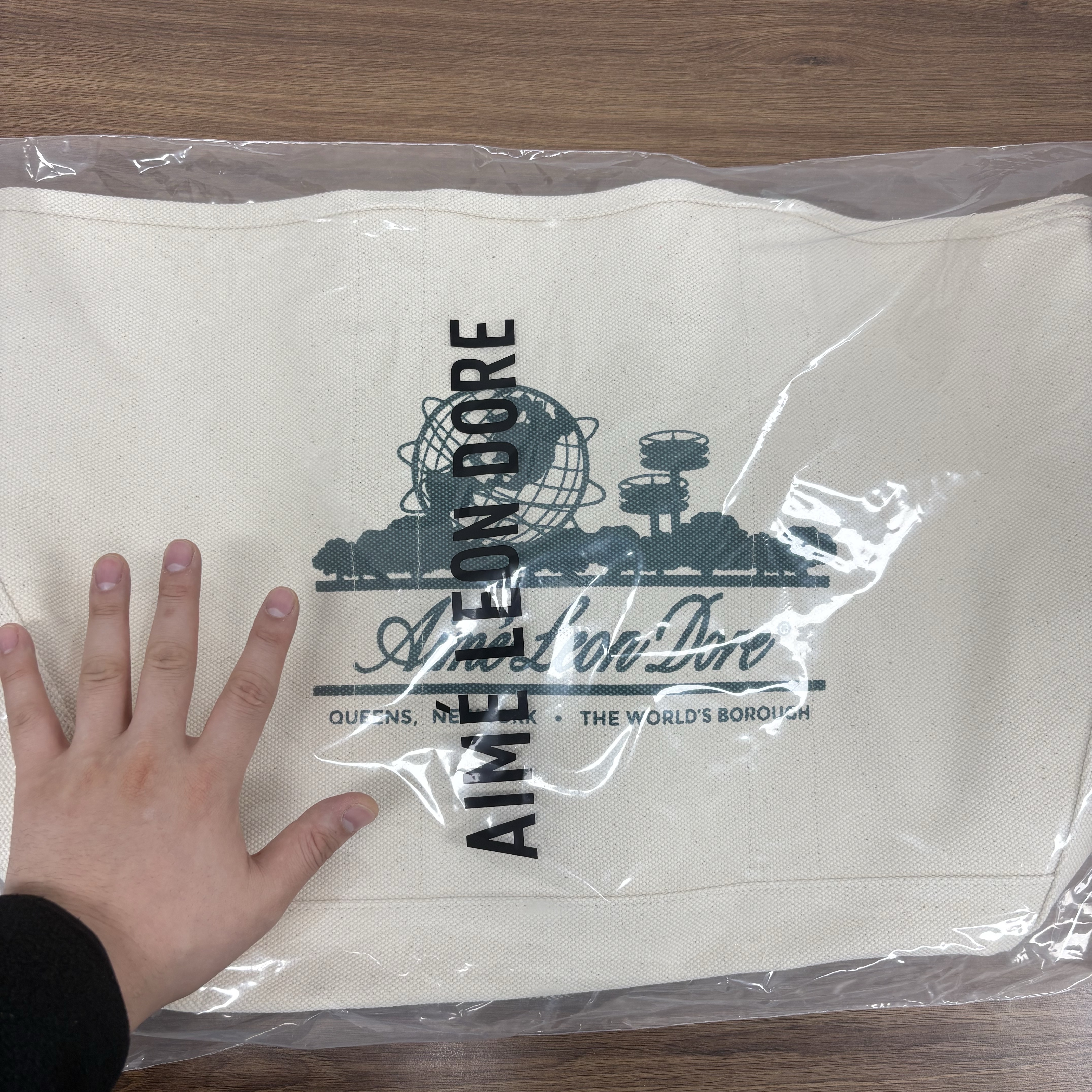 Aime Leon Dore Large Unisphere Tote Bag Cream Green ์ฐฉ์ฉ ์คํ์ผ