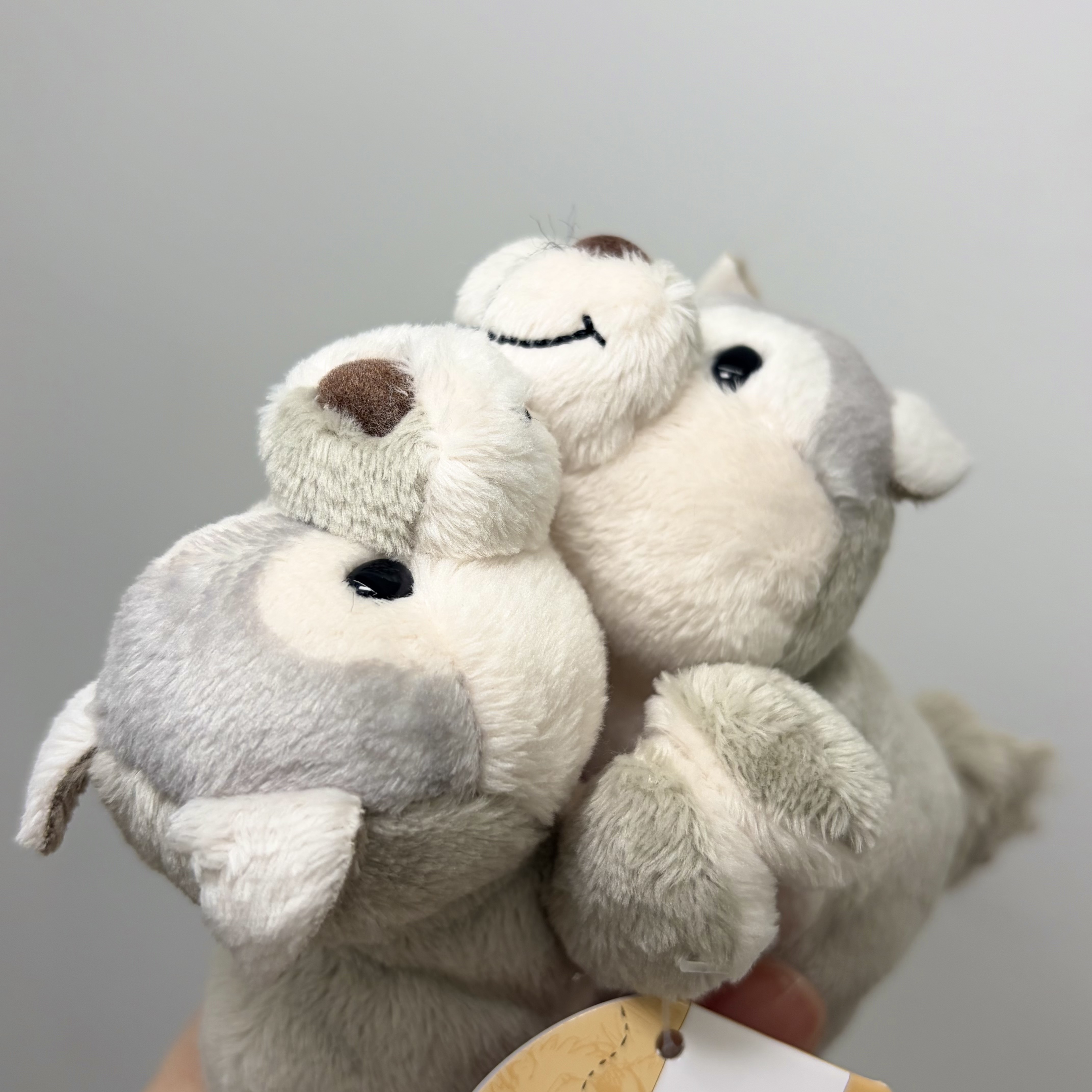 [KREAM 단독] NICI Wolf Winnie Magnici 착용 스타일 - 2