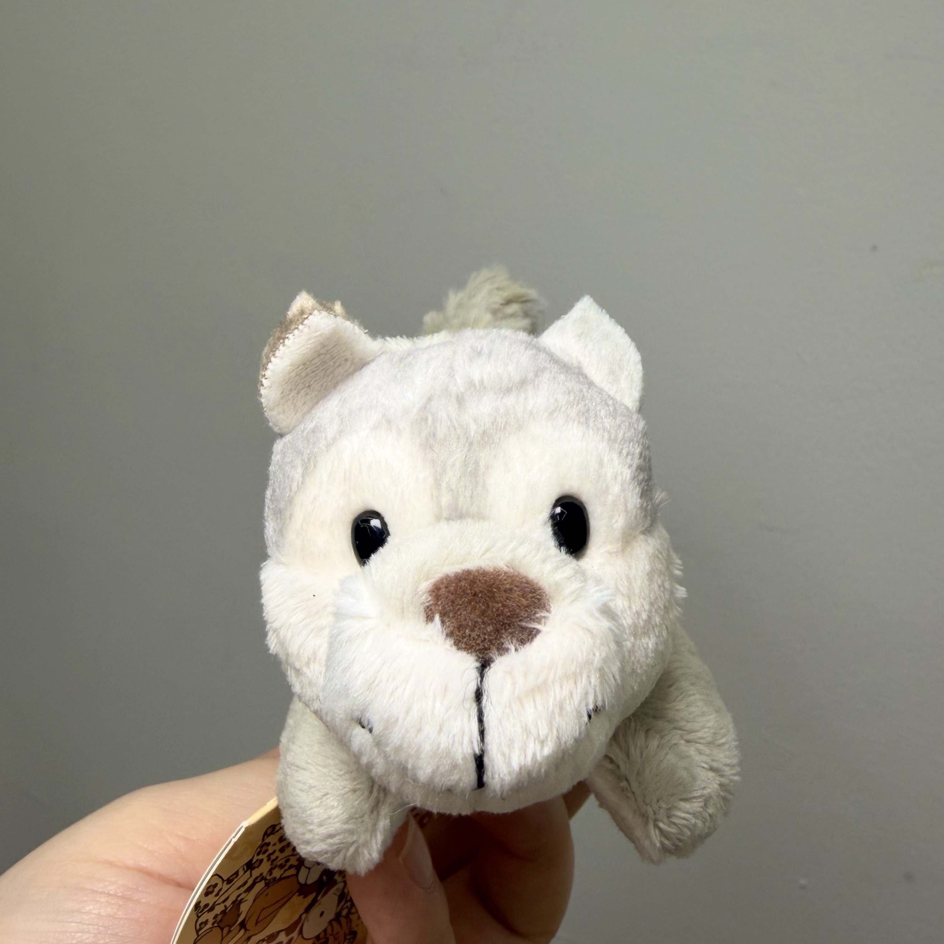 [KREAM 단독] NICI Wolf Winnie Magnici 착용 스타일 - 1