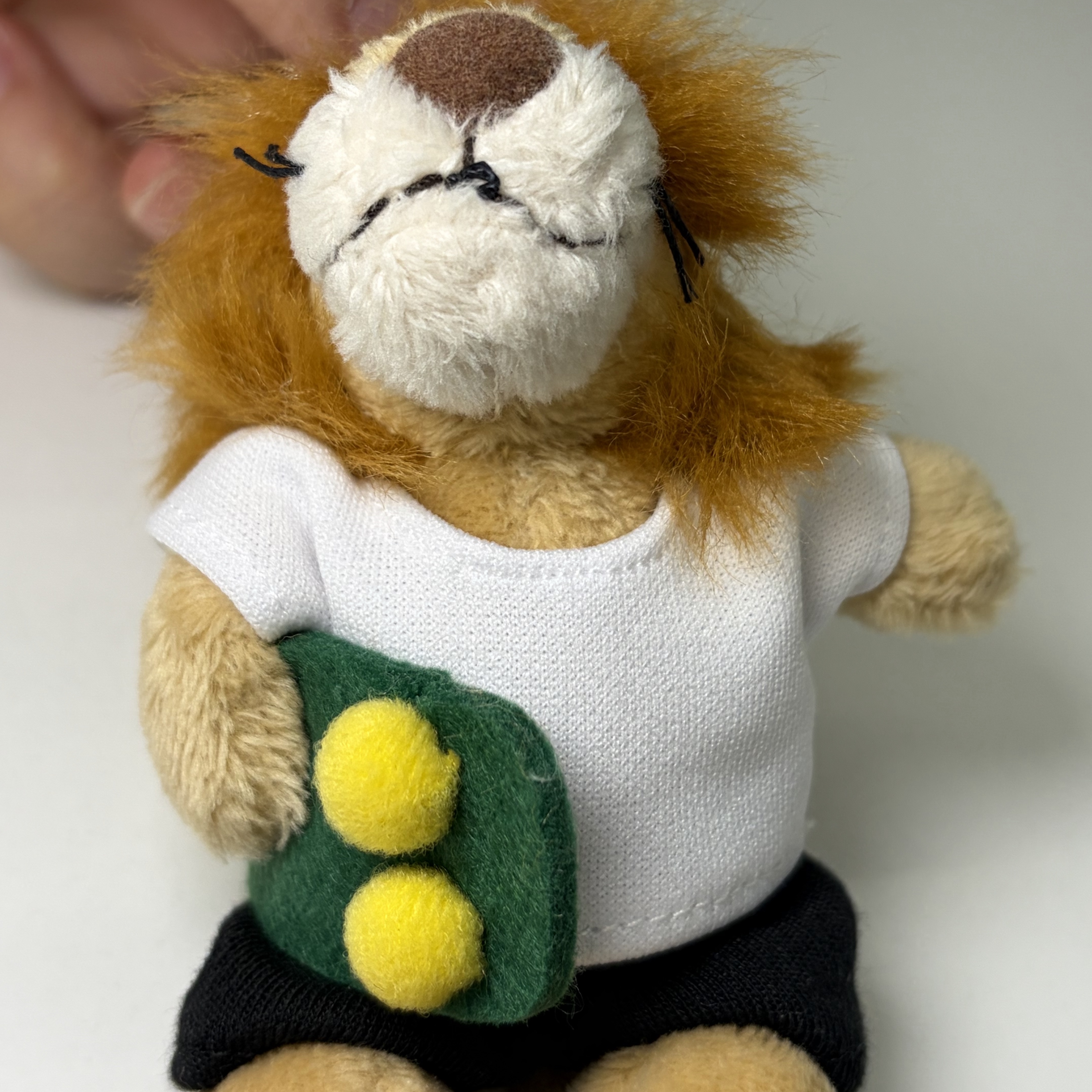 [KREAM 단독] NICI 10cm Lion with Skateboard BB 착용 스타일 - 4