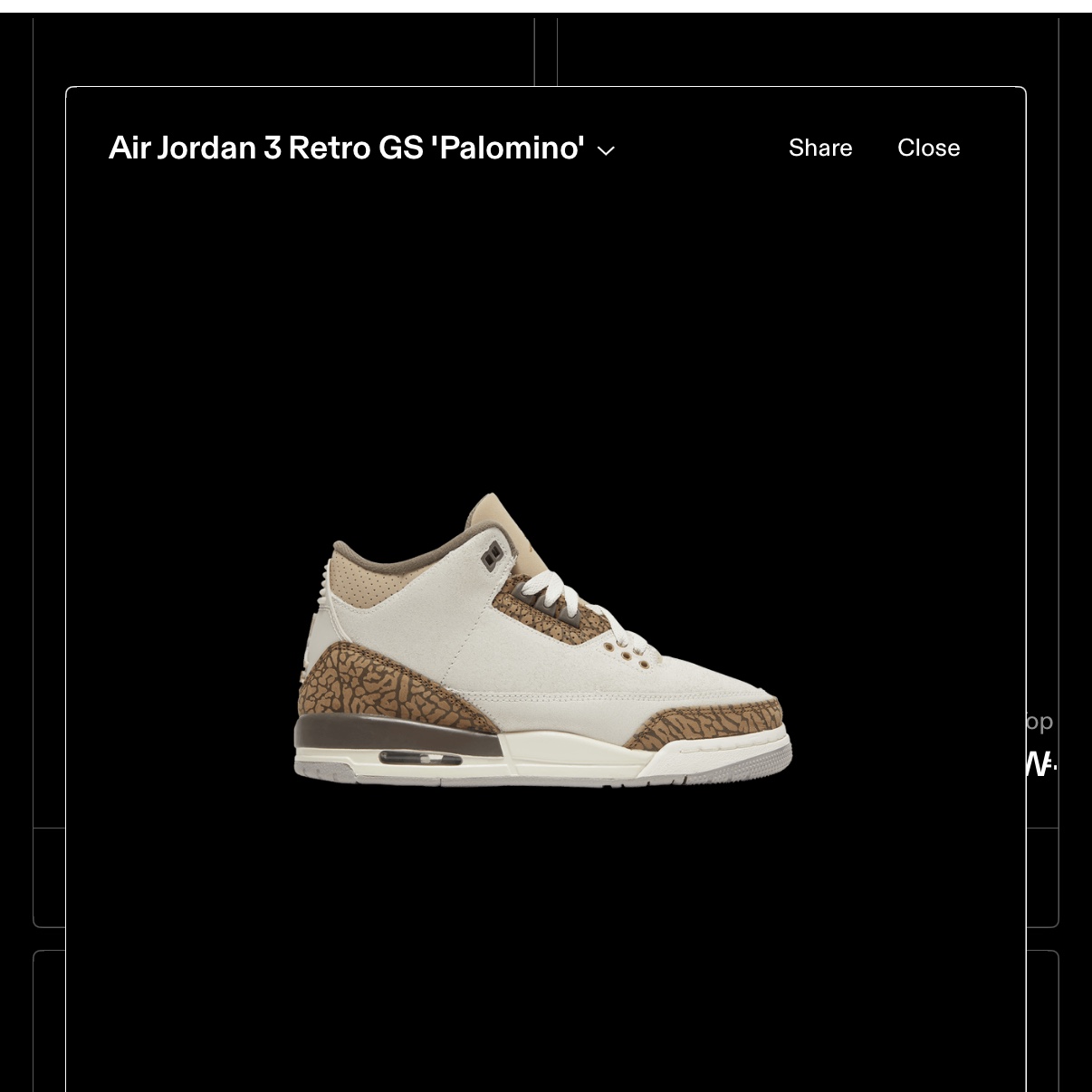 (GS) Jordan 3 Retro Orewood Brown 착용 스타일 - 2