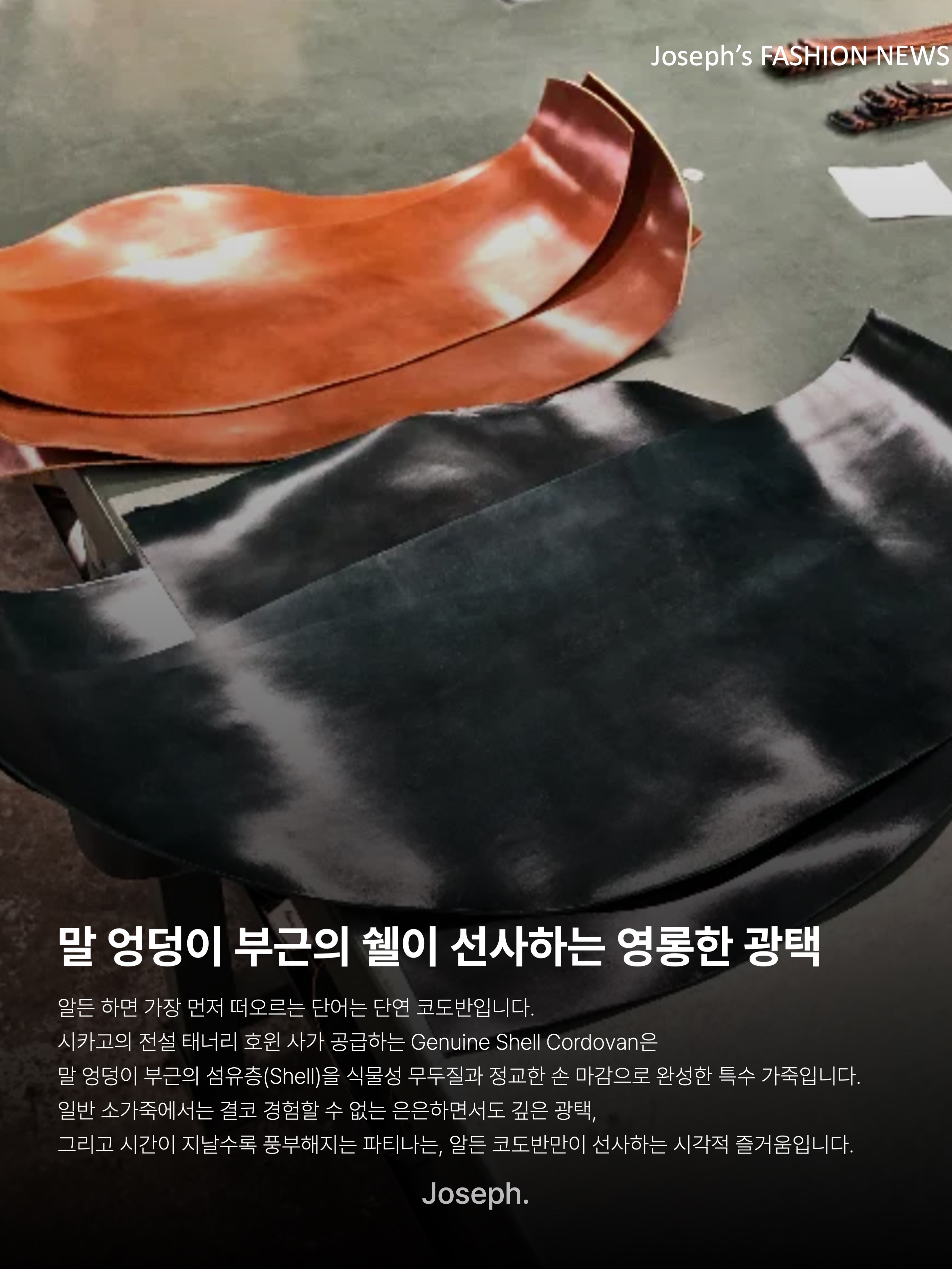 Alden 990 Cordovan Plain Toe Blucher Oxford Burgundy - D, Alden 563 Shell Cordovan Tassel Loafers Color 8 - D 착용 스타일 - 4