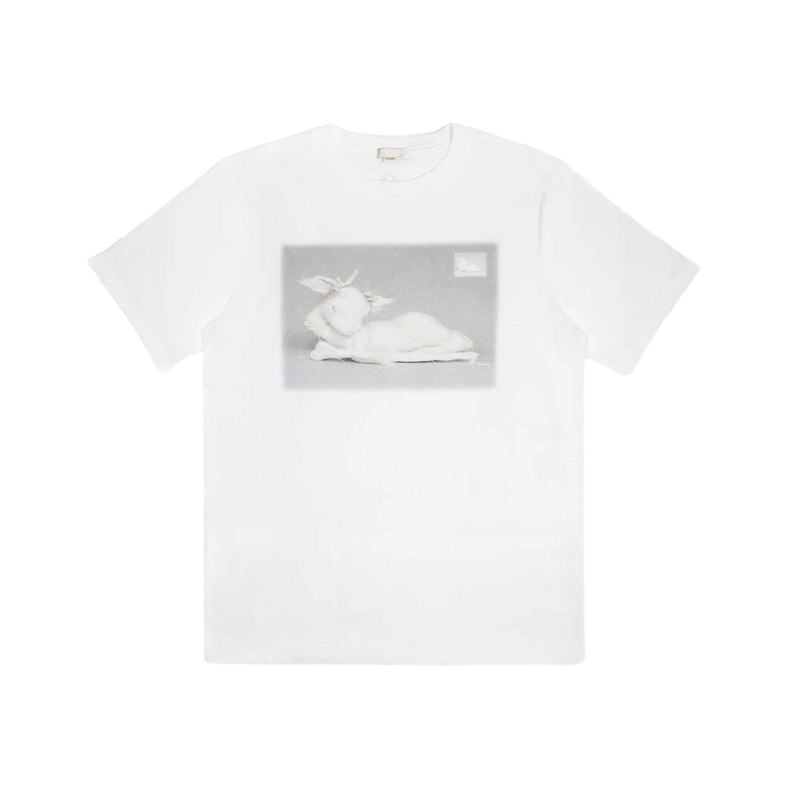 [KREAM 단독] 본네 우먼 아르카디아 탑 화이트([KREAM 단독] Bonnae Women Arcadia Top White) - 1