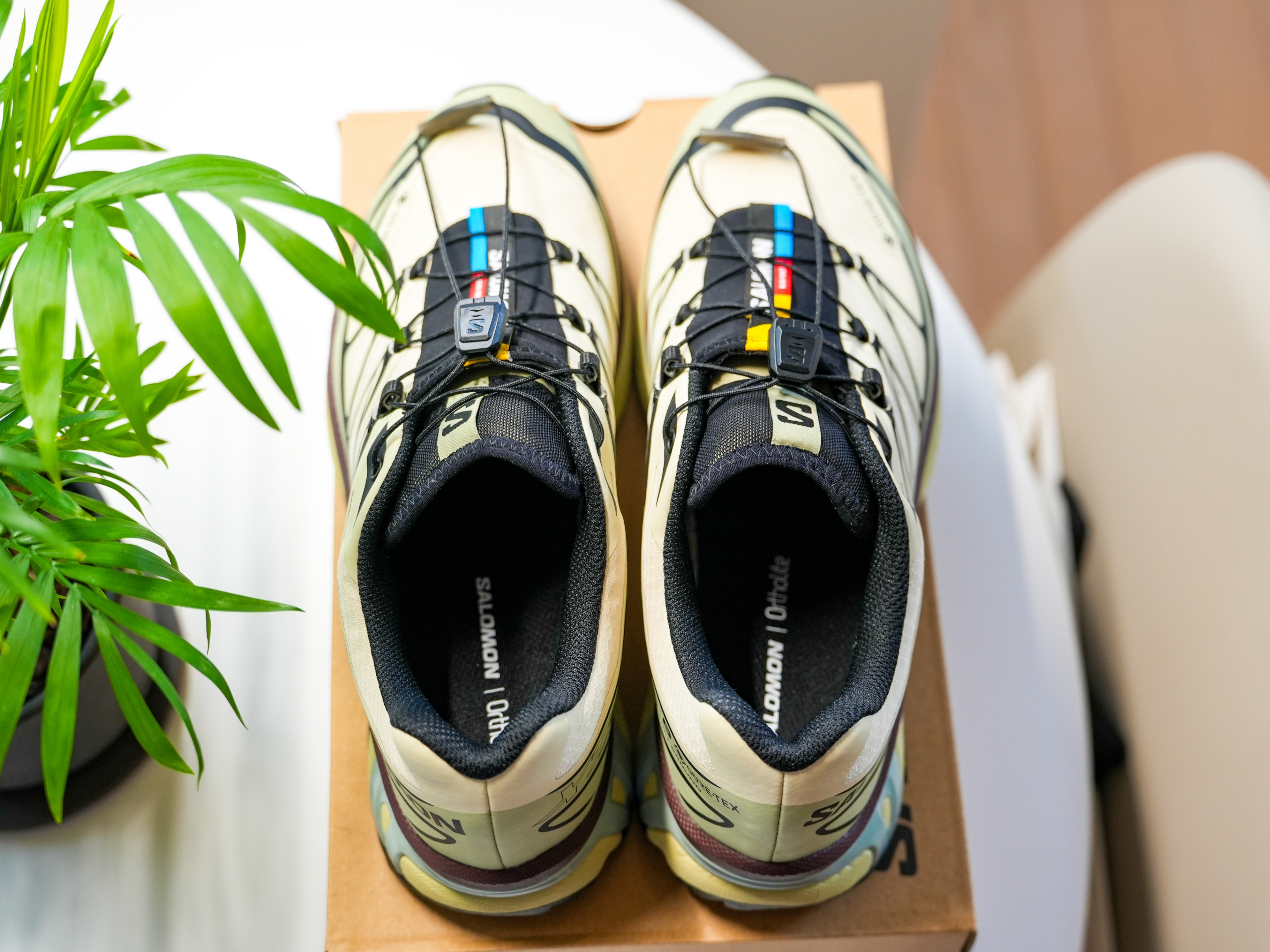 Salomon XT-6 GTX Asparagus Green Tea 착용 스타일 - 3