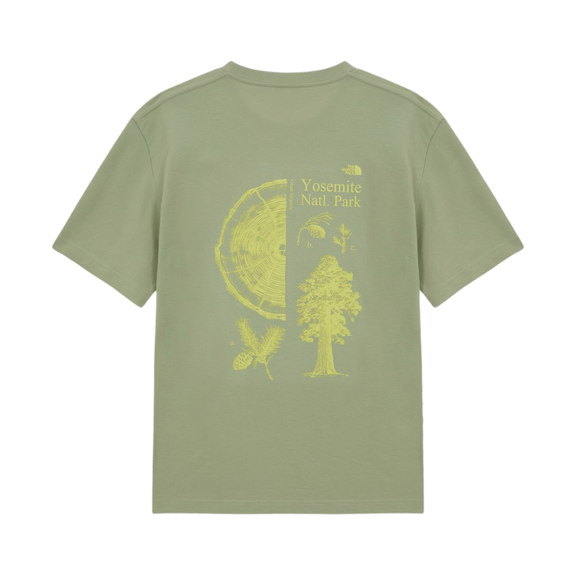 NT7US04C The North Face Summercamp S/S R/T-Shirt Dusty Olive - 26SS
