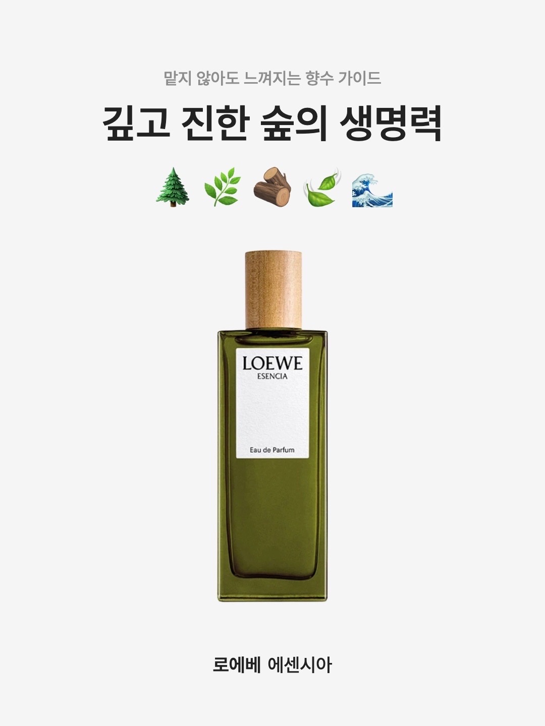 Loewe Esencia Eau De Parfum Pour Homme 50ml, Loewe Esencia Eau De Parfum Pour Homme 100ml 착용 스타일 - 1