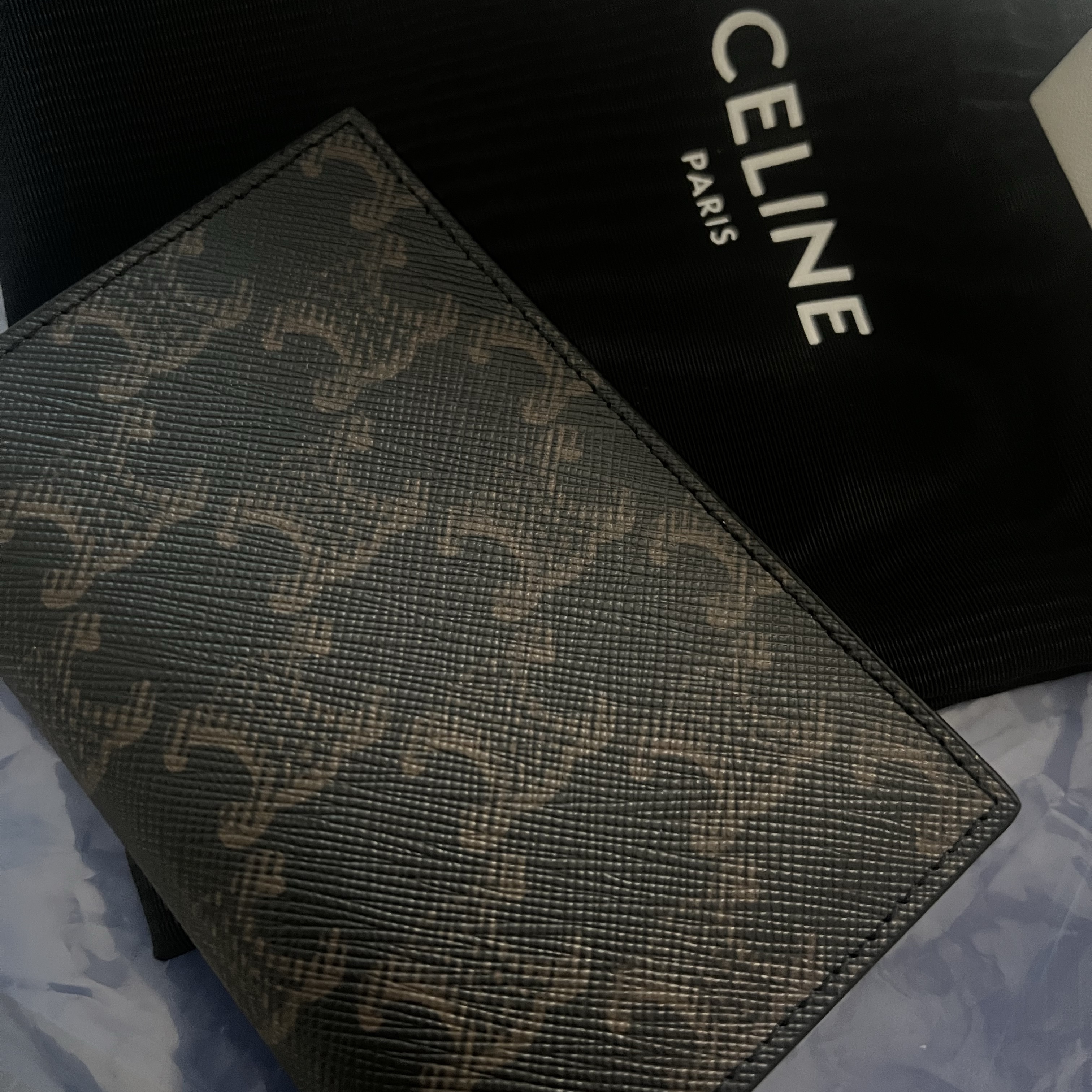 Celine Vertical Card Holder in Triomphe Canvas Black 착용 스타일