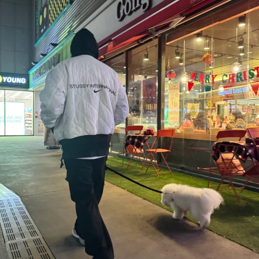 스타일 카드