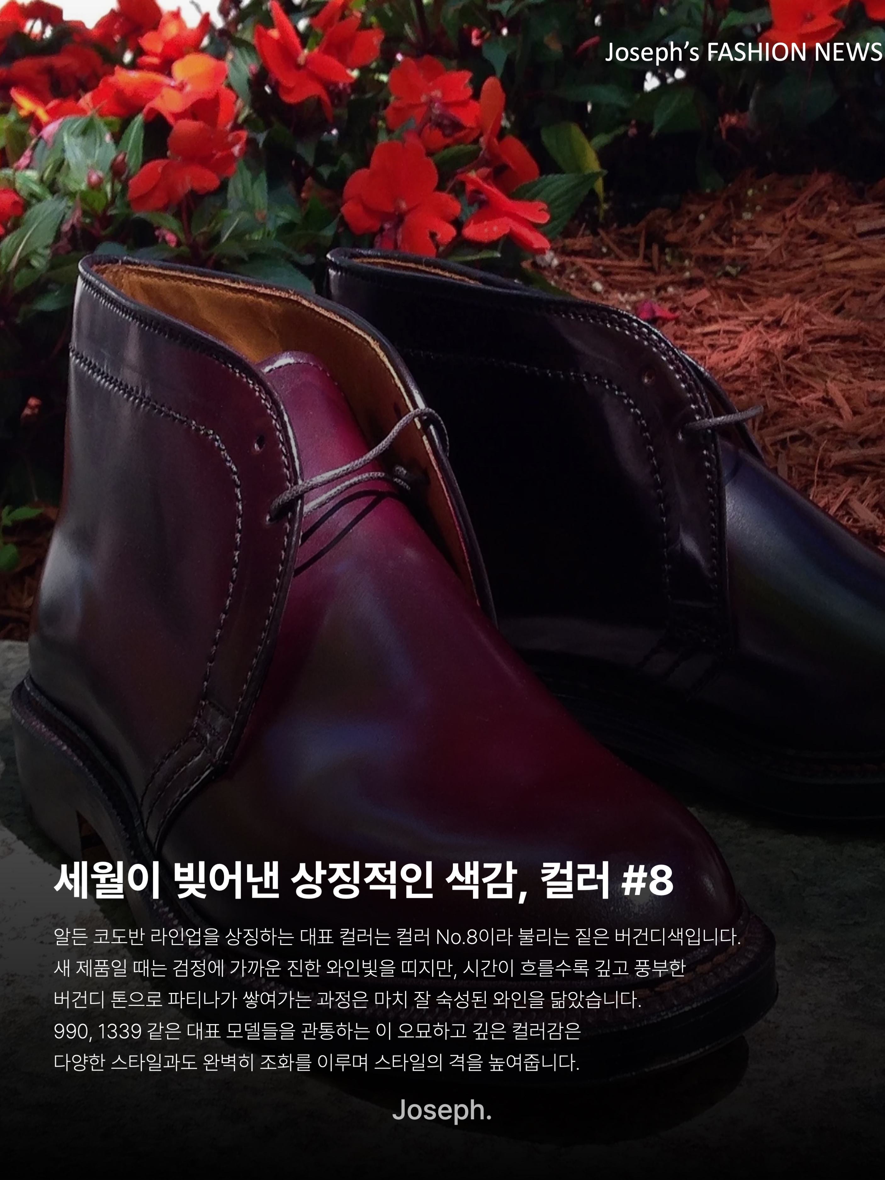 Alden 990 Cordovan Plain Toe Blucher Oxford Burgundy - D, Alden 563 Shell Cordovan Tassel Loafers Color 8 - D 착용 스타일 - 5