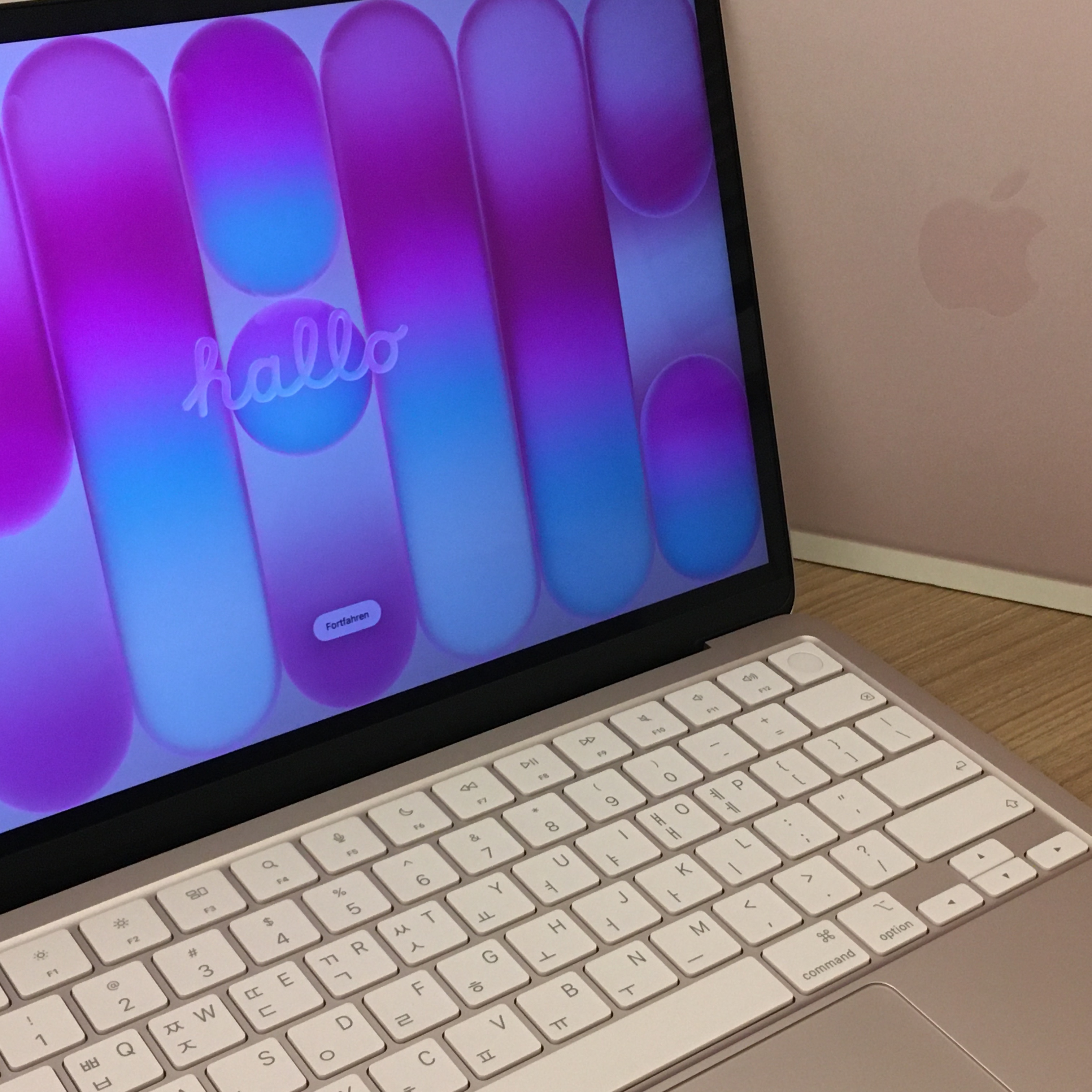 Apple 2026 MacBook Neo A18 Pro 512GB SSD / 8GB RAM Blush (Korean Ver.) 착용 스타일