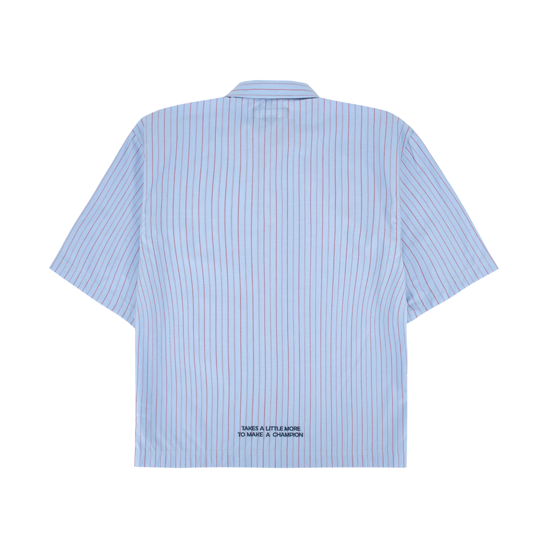 자라 x 챔피온 스트라이프 패치 셔츠 블루(Zara x Champion Striped Patch Shirt Blue) - 2