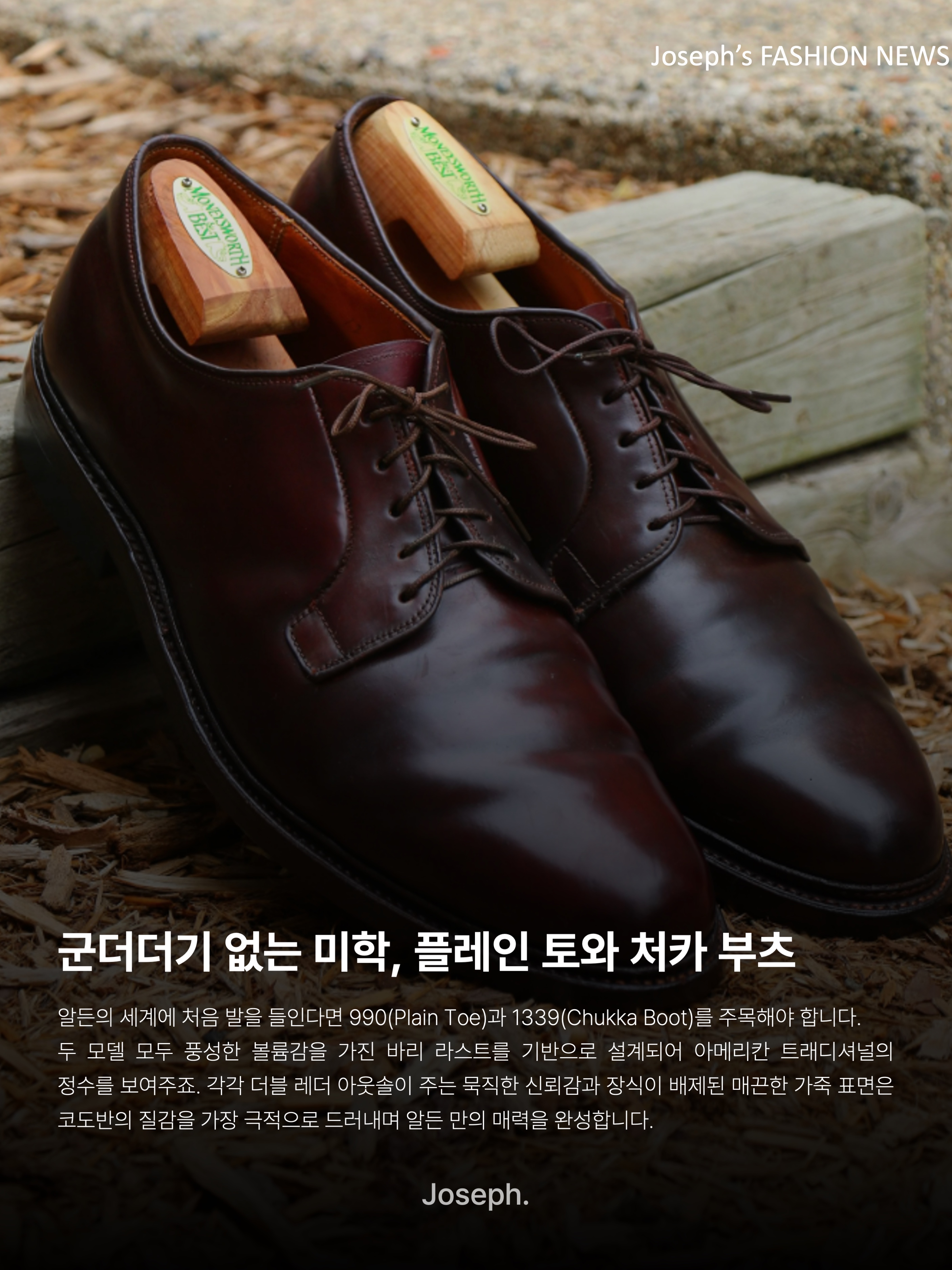 Alden 990 Cordovan Plain Toe Blucher Oxford Burgundy - D, Alden 563 Shell Cordovan Tassel Loafers Color 8 - D 착용 스타일 - 6