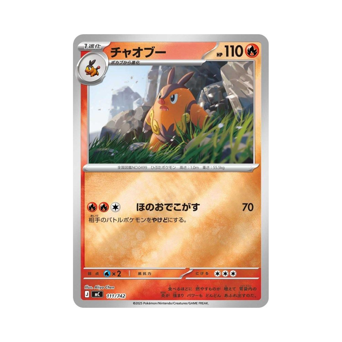 포켓몬 TCG 챠오꿀 미러 스타트 덱 100 배틀 컬렉션 (일어판)(Pokemon TCG Pignite Mirror Start Deck 100 Battle Collection (Japanese Ver.))