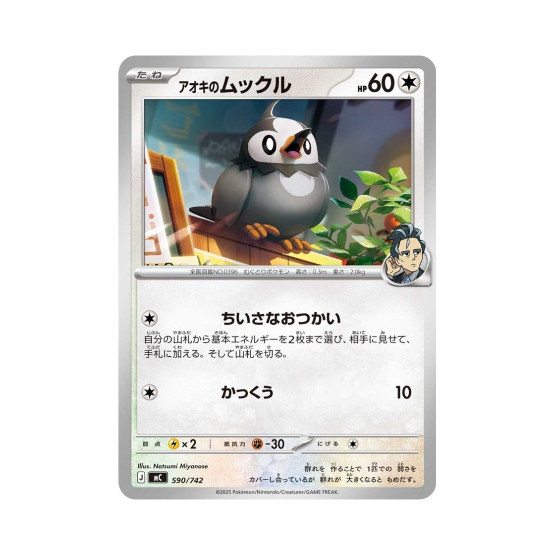 포켓몬 TCG 청목의 찌르꼬 스타트 덱 100 배틀 컬렉션 (일어판)(Pokemon TCG Larry's Starly Start Deck 100 Battle Collection (Japanese Ver.))
