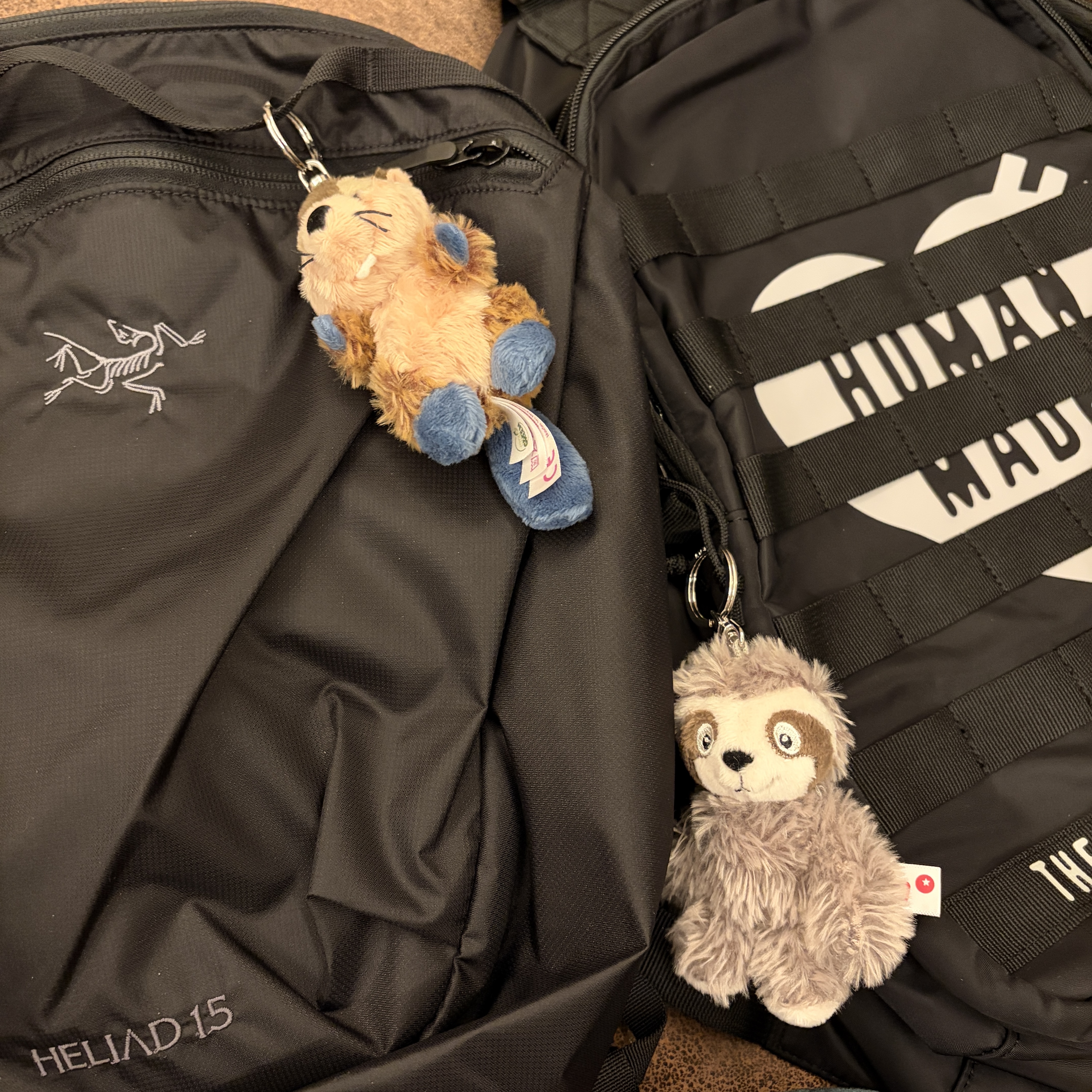 Arc'teryx Heliad 15 Backpack Black, Human Made Military Backpack Black 착용 스타일