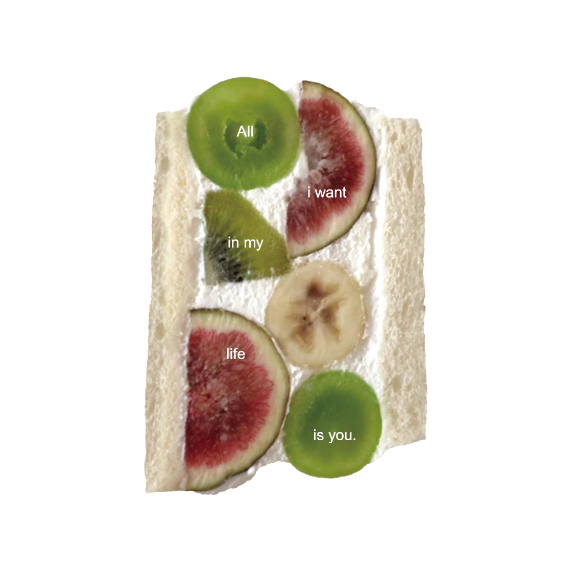 8800231102141 Duitproject Tag letter 002 (fruit)
