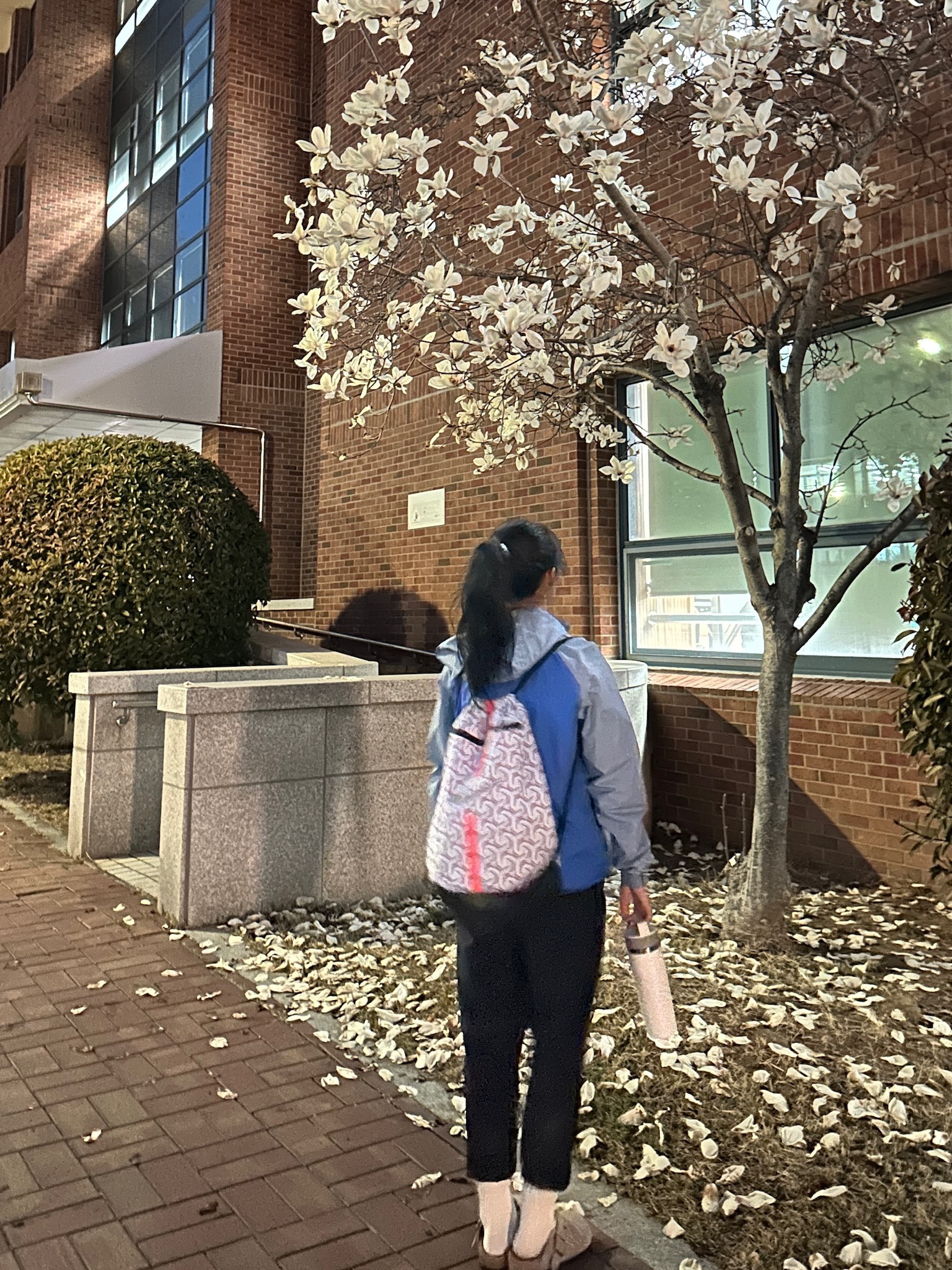 (W) Patagonia Torrentshell 3L Jacket Light Current Blue 착용 스타일 - 3