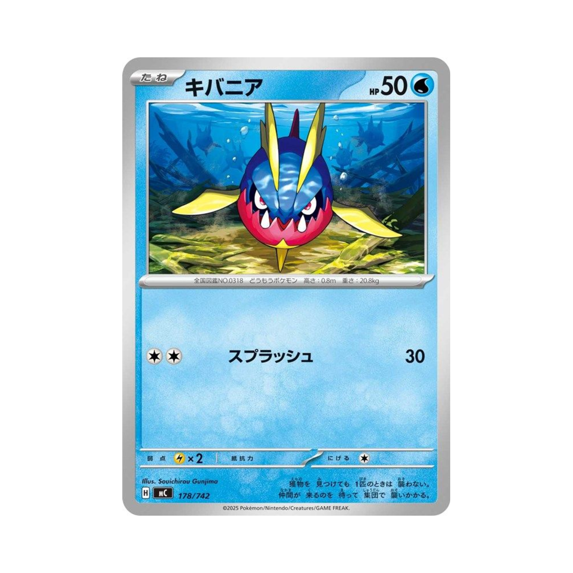 포켓몬 TCG 샤프니아 스타트 덱 100 배틀 컬렉션 (일어판)(Pokemon TCG Carvanha Start Deck 100 Battle Collection (Japanese Ver.)) - 1