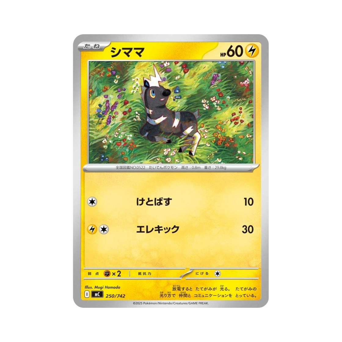 포켓몬 TCG 줄뮤마 스타트 덱 100 배틀 컬렉션 (일어판)(Pokemon TCG Blitzle Start Deck 100 Battle Collection (Japanese Ver.))