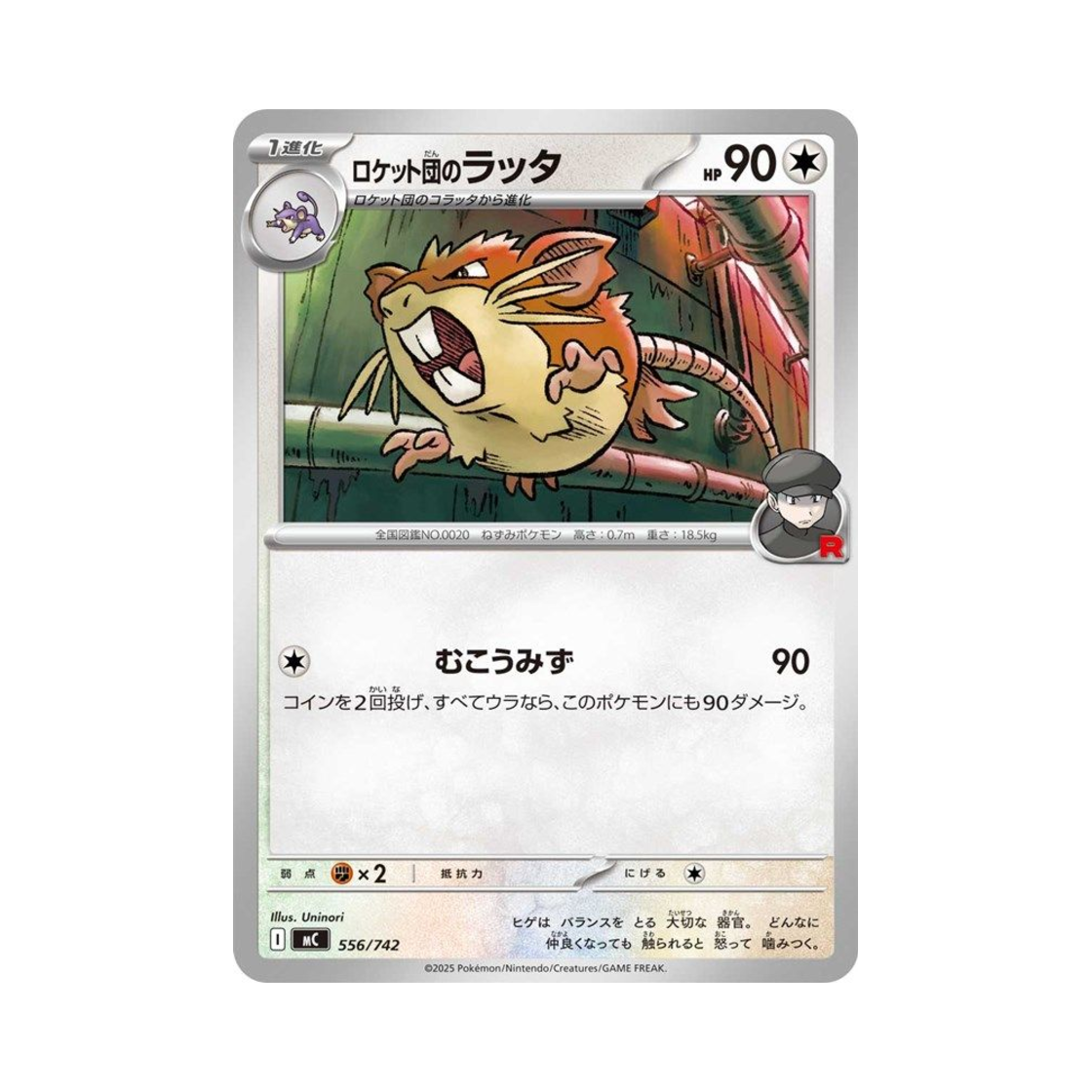 포켓몬 TCG 로켓단의 레트라 스타트 덱 100 배틀 컬렉션 (일어판)(Pokemon TCG Team Rocket's Raticate Start Deck 100 Battle Collection (Japanese Ver.))