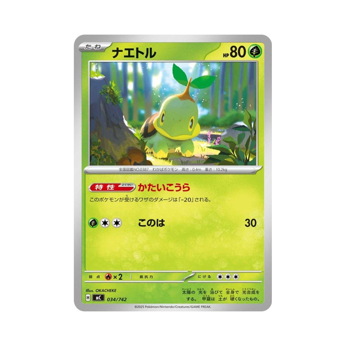 포켓몬 TCG 모부기 스타트 덱 100 배틀 컬렉션 (일어판)(Pokemon TCG Turtwig Start Deck 100 Battle Collection (Japanese Ver.)) - 1