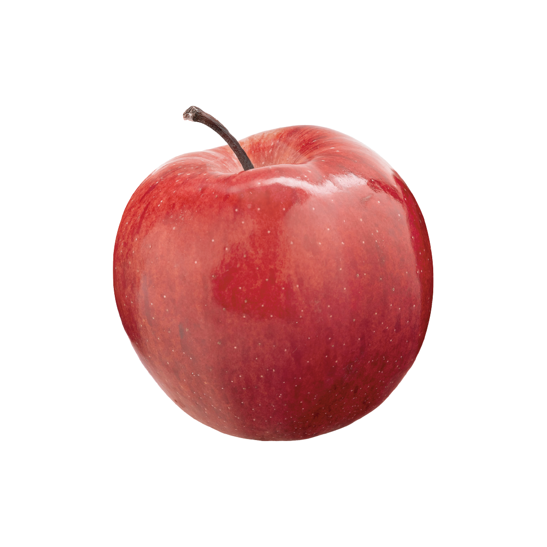 8800231102144 Duitproject Tag letter 005 (apple)