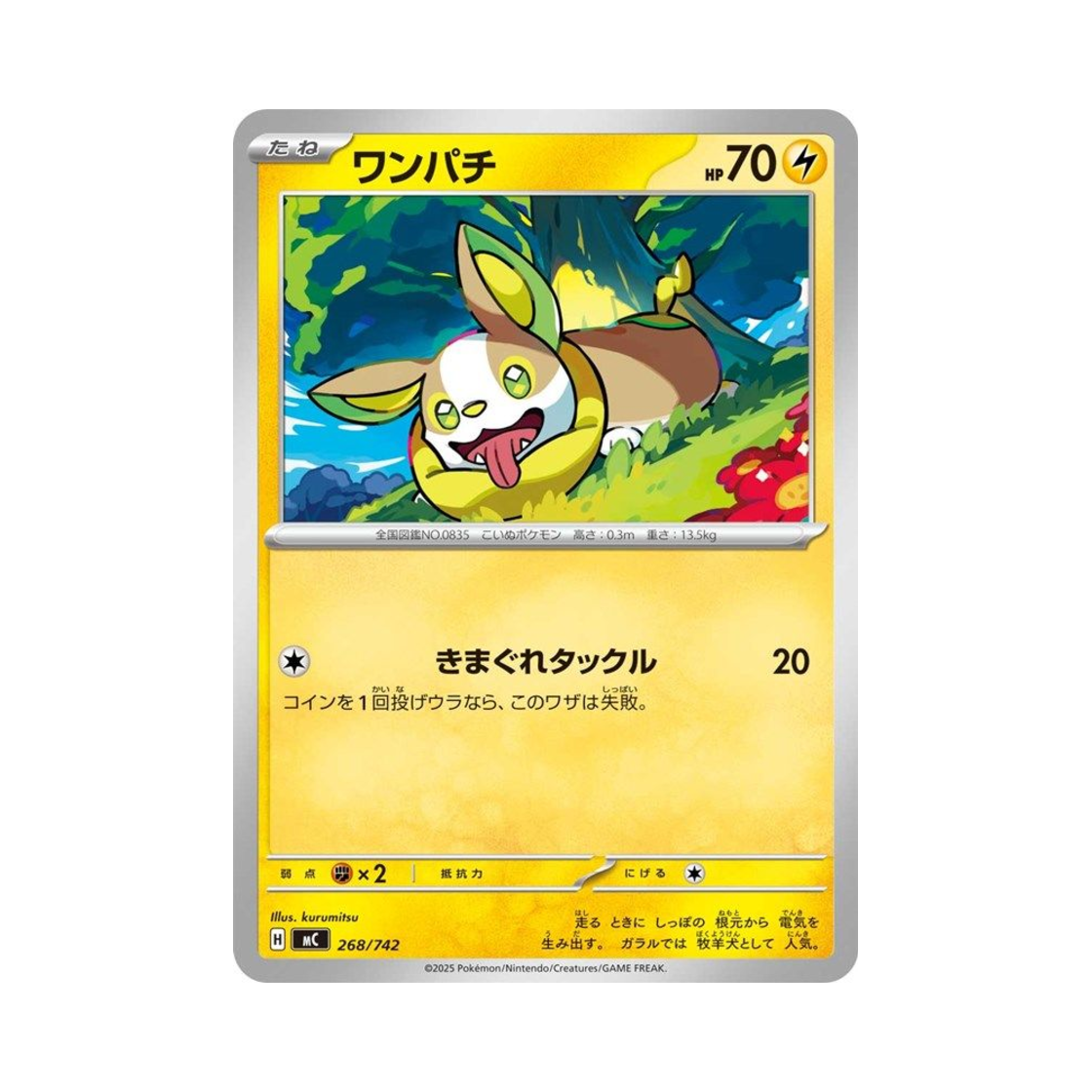 포켓몬 TCG 멍파치 스타트 덱 100 배틀 컬렉션 (일어판)(Pokemon TCG Yamper Start Deck 100 Battle Collection (Japanese Ver.)) - 1