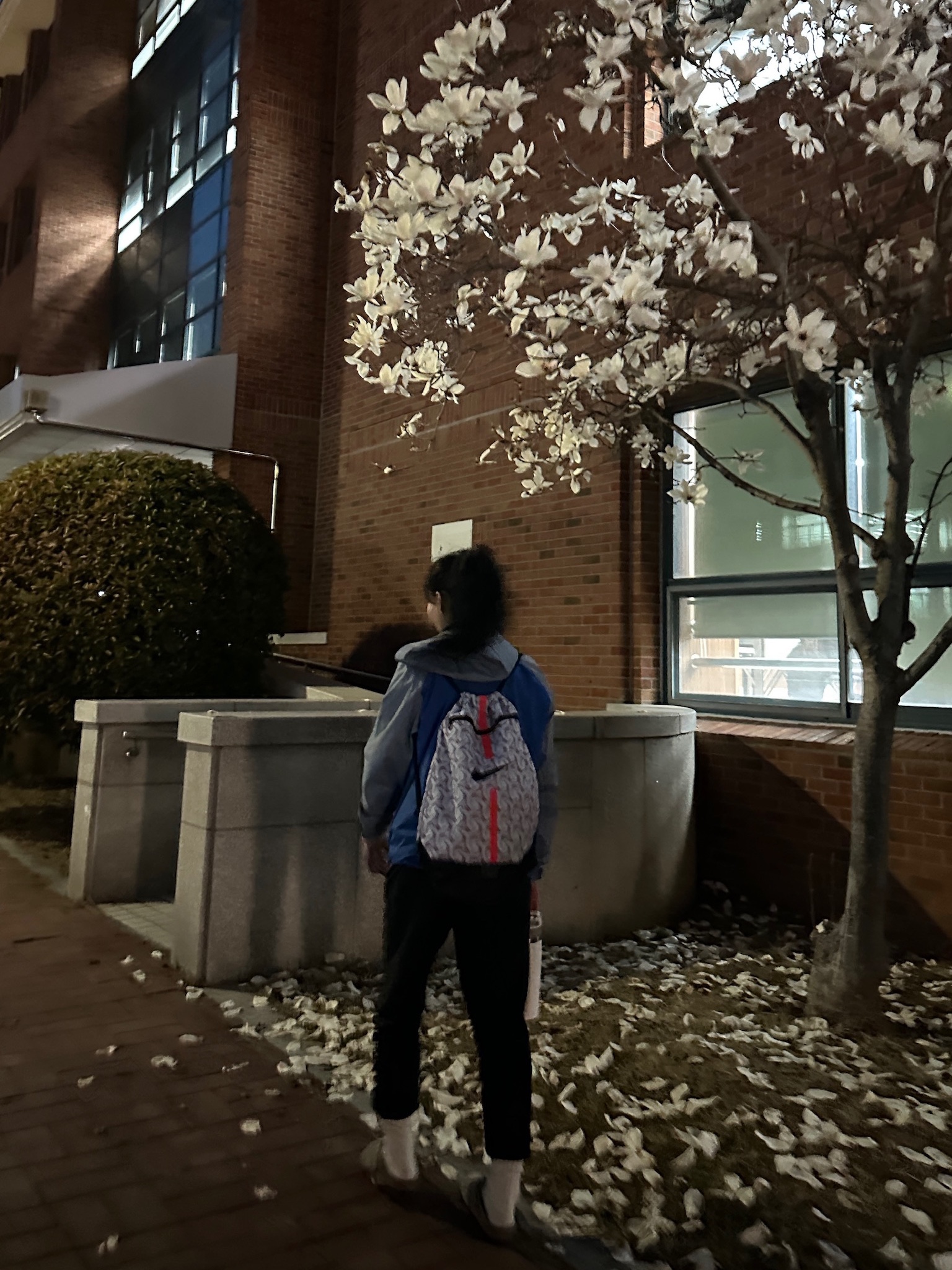 (W) Patagonia Torrentshell 3L Jacket Light Current Blue 착용 스타일 - 1