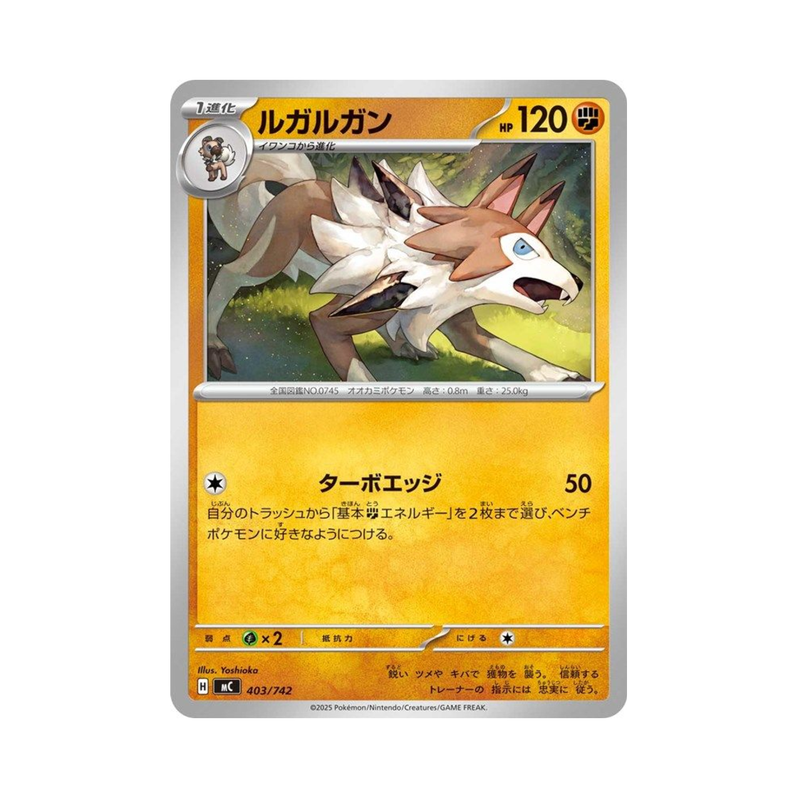 포켓몬 TCG 루가루암 스타트 덱 100 배틀 컬렉션 (일어판)(Pokemon TCG Lycanroc Start Deck 100 Battle Collection (Japanese Ver.)) - 1