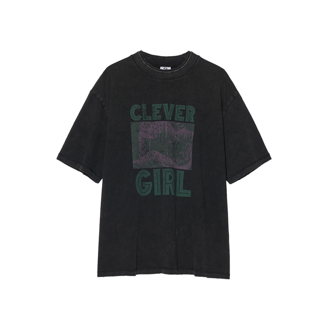 PR-26162-2 BK [예약 배송] Partimento Reworks [JURASSIC PARK] Clever Girl Tee VTG Black