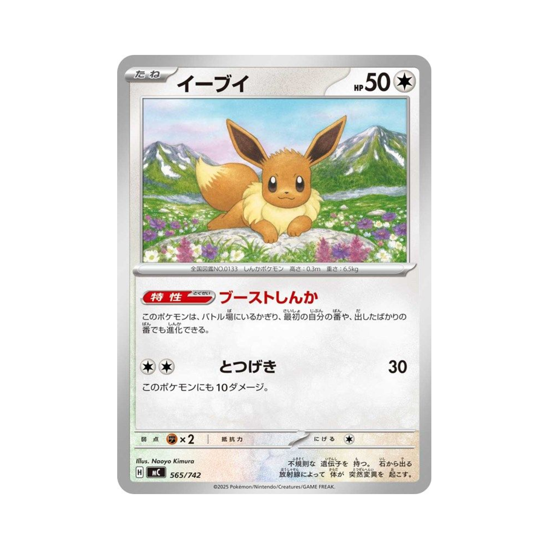 포켓몬 TCG 이브이 스타트 덱 100 배틀 컬렉션 (일어판)(Pokemon TCG Eevee Start Deck 100 Battle Collection (Japanese Ver.)) - 1
