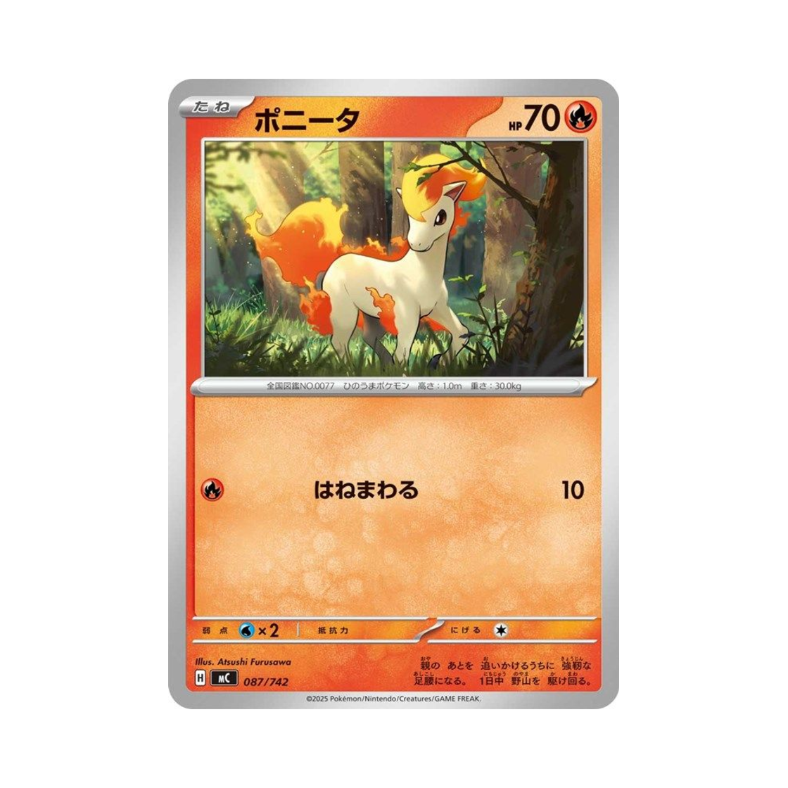 포켓몬 TCG 포니타 스타트 덱 100 배틀 컬렉션 (일어판)(Pokemon TCG Ponyta Start Deck 100 Battle Collection (Japanese Ver.)) - 1