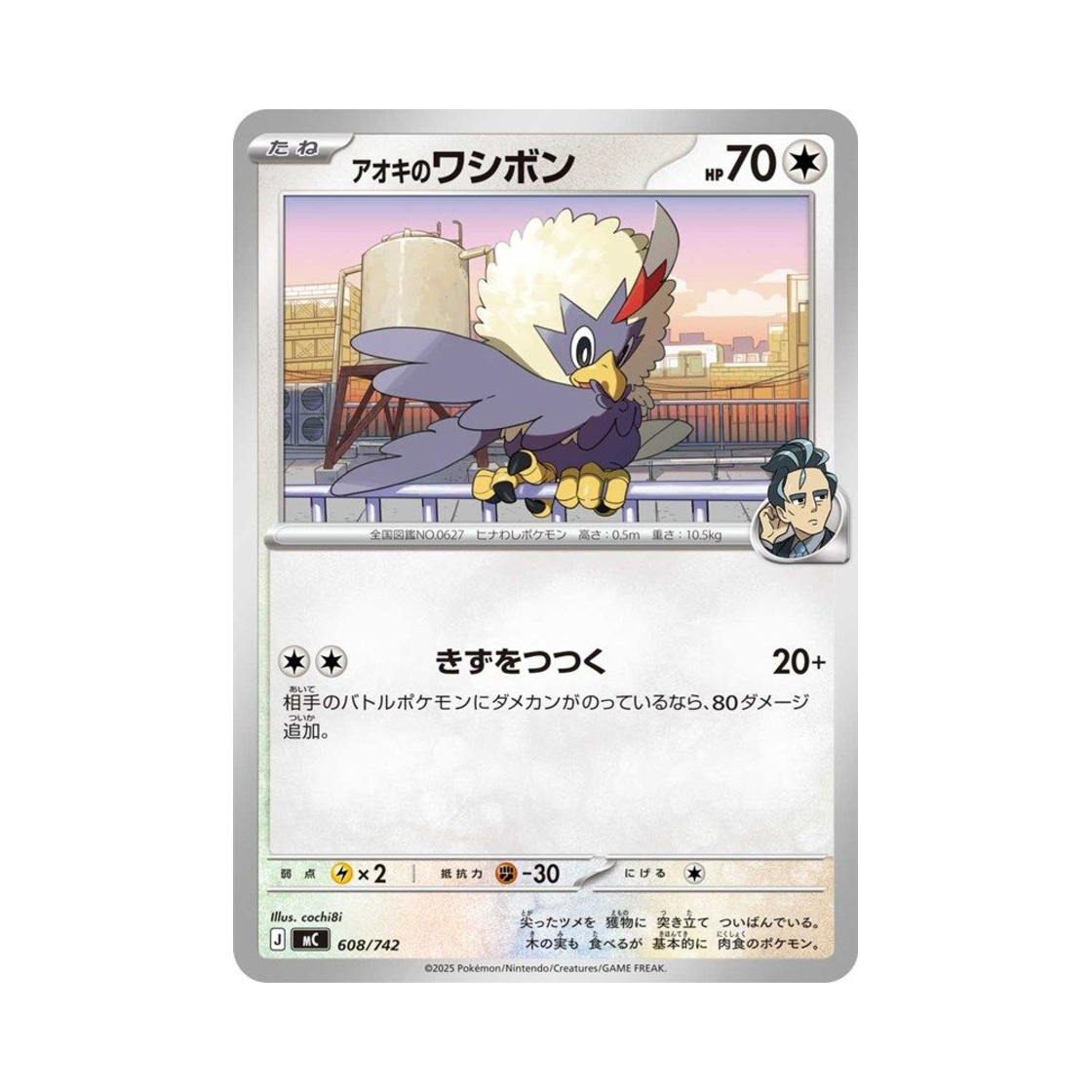 포켓몬 TCG 청목의 수리둥보 스타트 덱 100 배틀 컬렉션 (일어판)(Pokemon TCG Larry's Rufflet Start Deck 100 Battle Collection (Japanese Ver.))