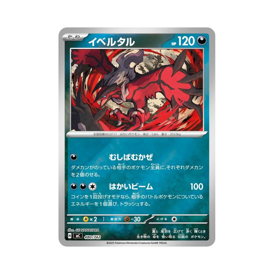 포켓몬 TCG 이벨타르 미러 스타트 덱 100 배틀 컬렉션 (일어판)(Pokemon TCG Yveltal Mirror Start Deck 100 Battle Collection (Japanese Ver.)) - 1