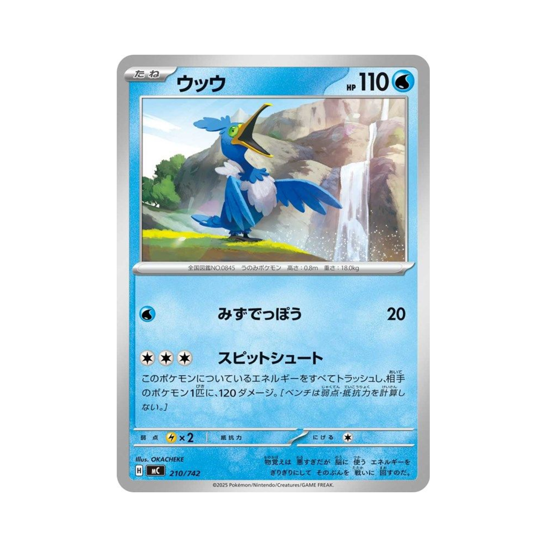 포켓몬 TCG 윽우지 스타트 덱 100 배틀 컬렉션 (일어판)(Pokemon TCG Cramorant Start Deck 100 Battle Collection (Japanese Ver.)) - 1