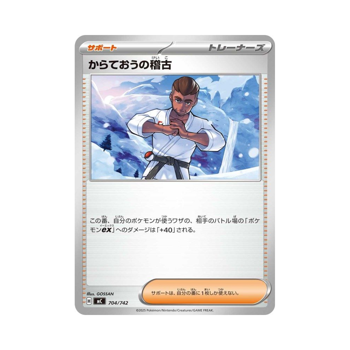 포켓몬 TCG 태권왕의 수련 스타트 덱 100 배틀 컬렉션 (일어판)(Pokemon TCG Black Belt's Training Start Deck 100 Battle Collection (Japanese Ver.)) - 1