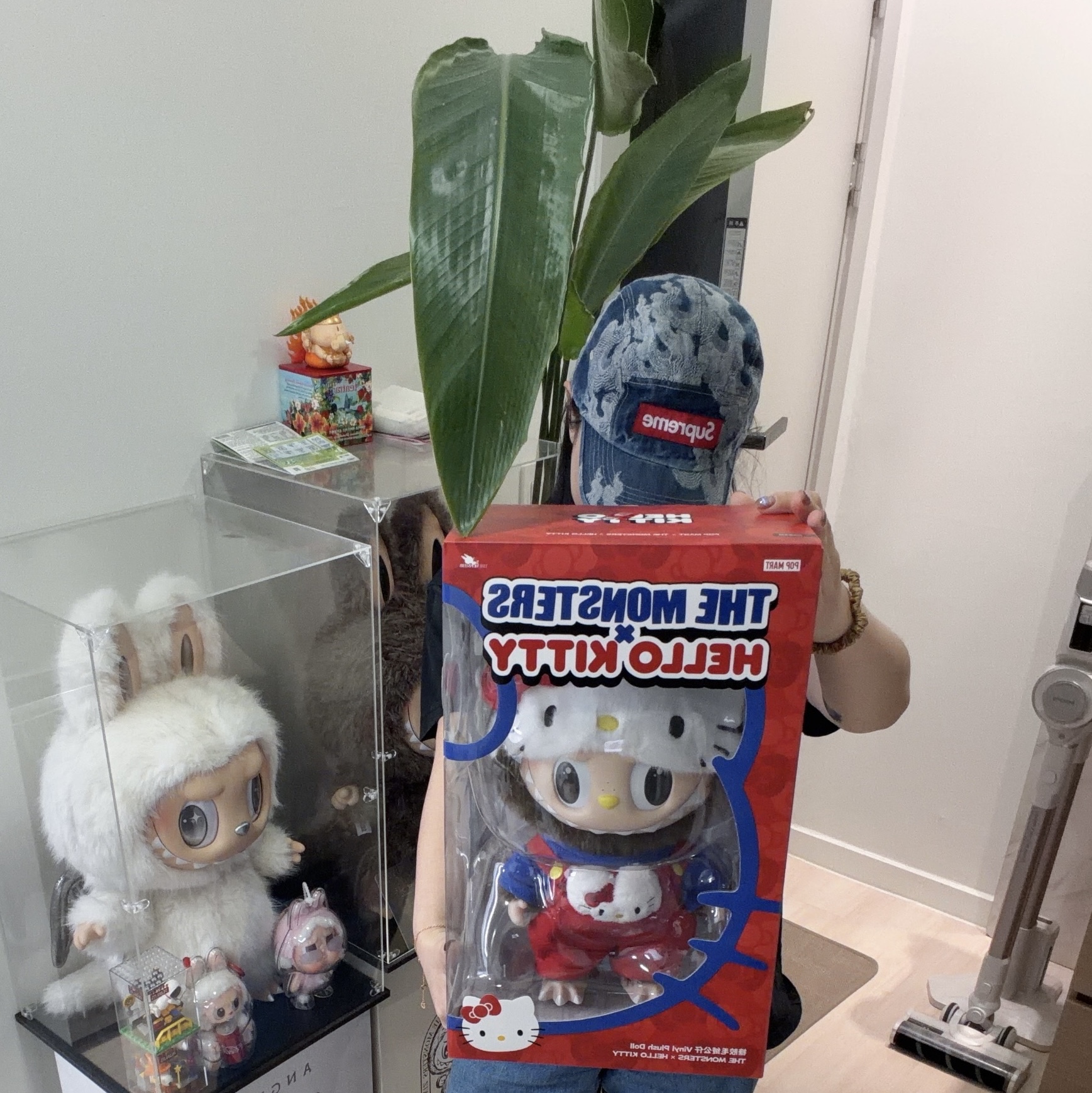 Pop Mart Labubu The Monsters x Hello Kitty Vinyl Plush Doll 착용 스타일
