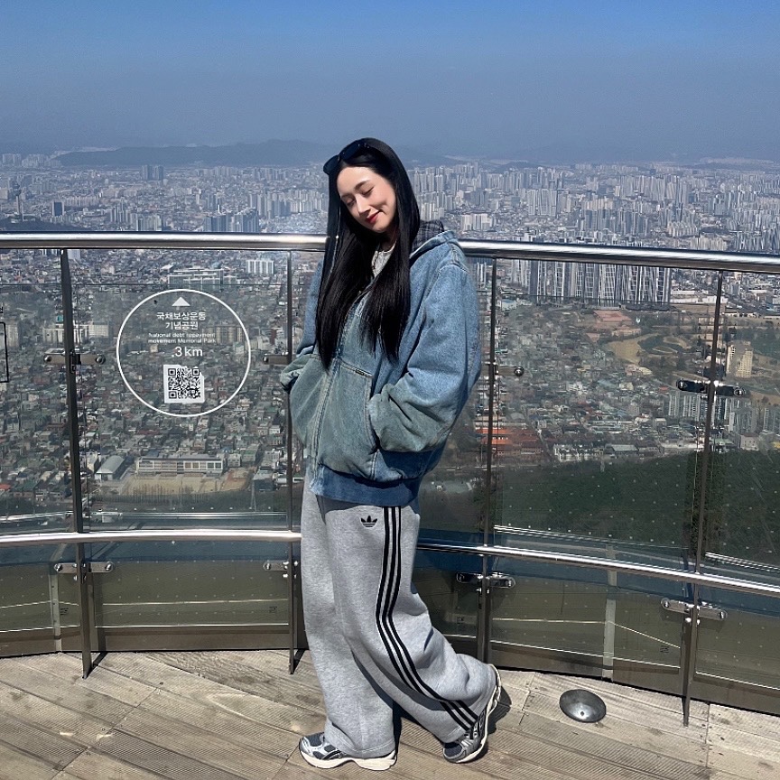 Supreme Reflective Arc Hooded Work Jacket Denim - 25FW 착용 스타일 - 1